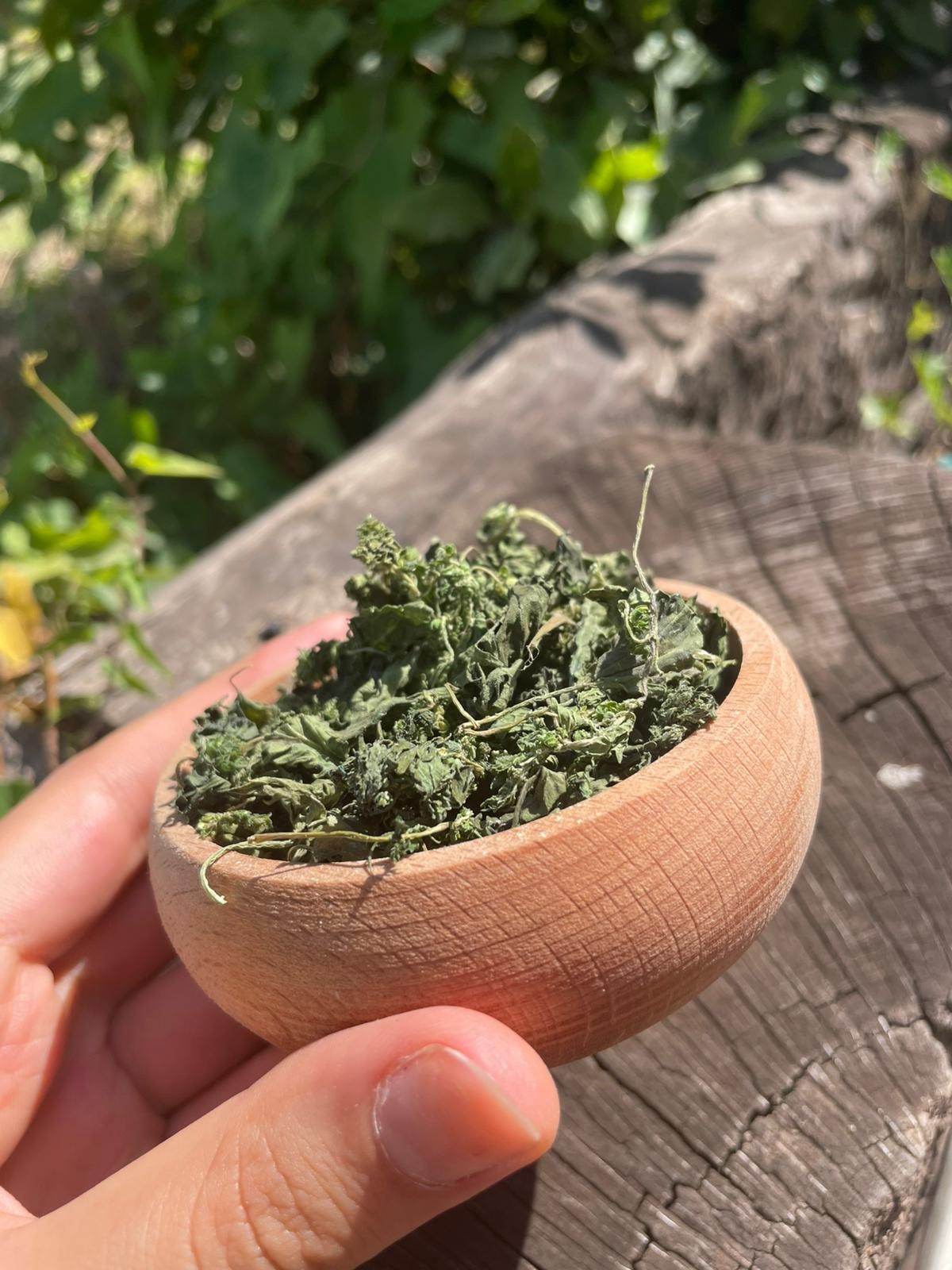Isırgan Otu (100g)
