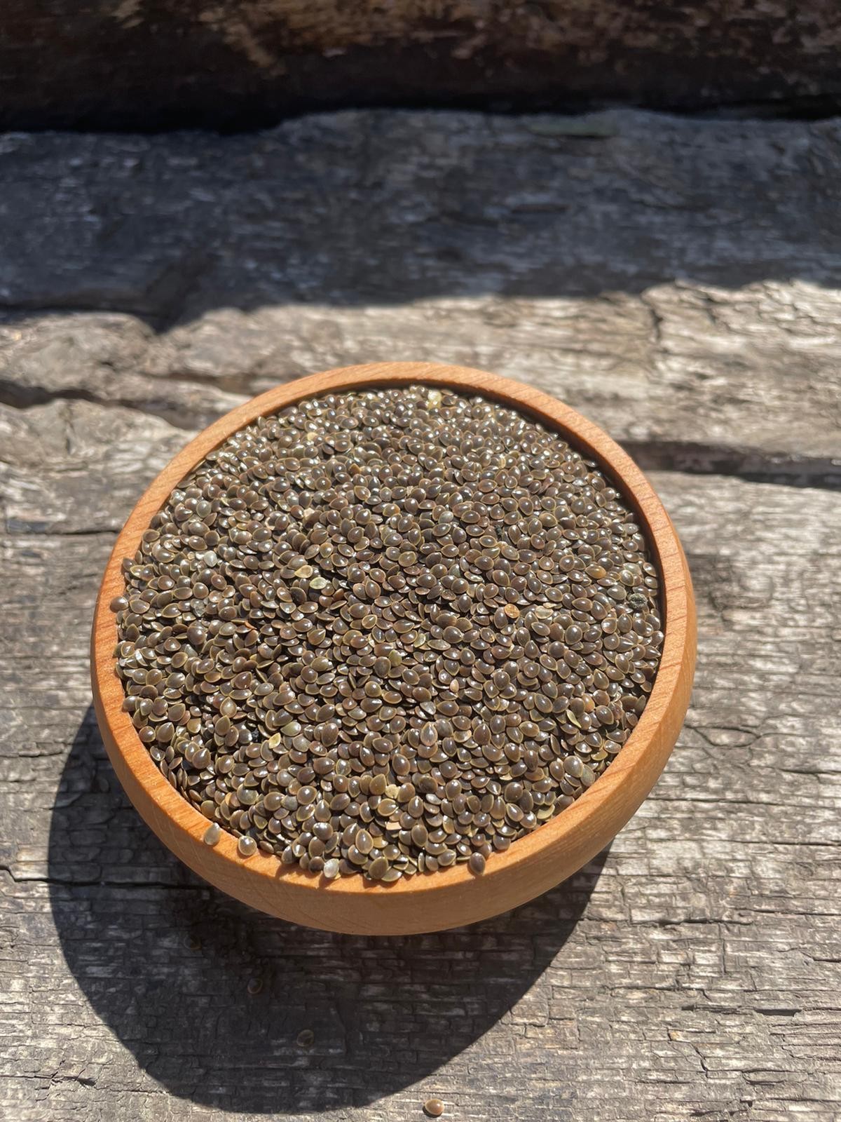 Doğanın Zırhı – Isırgan Tohumu (150gr)