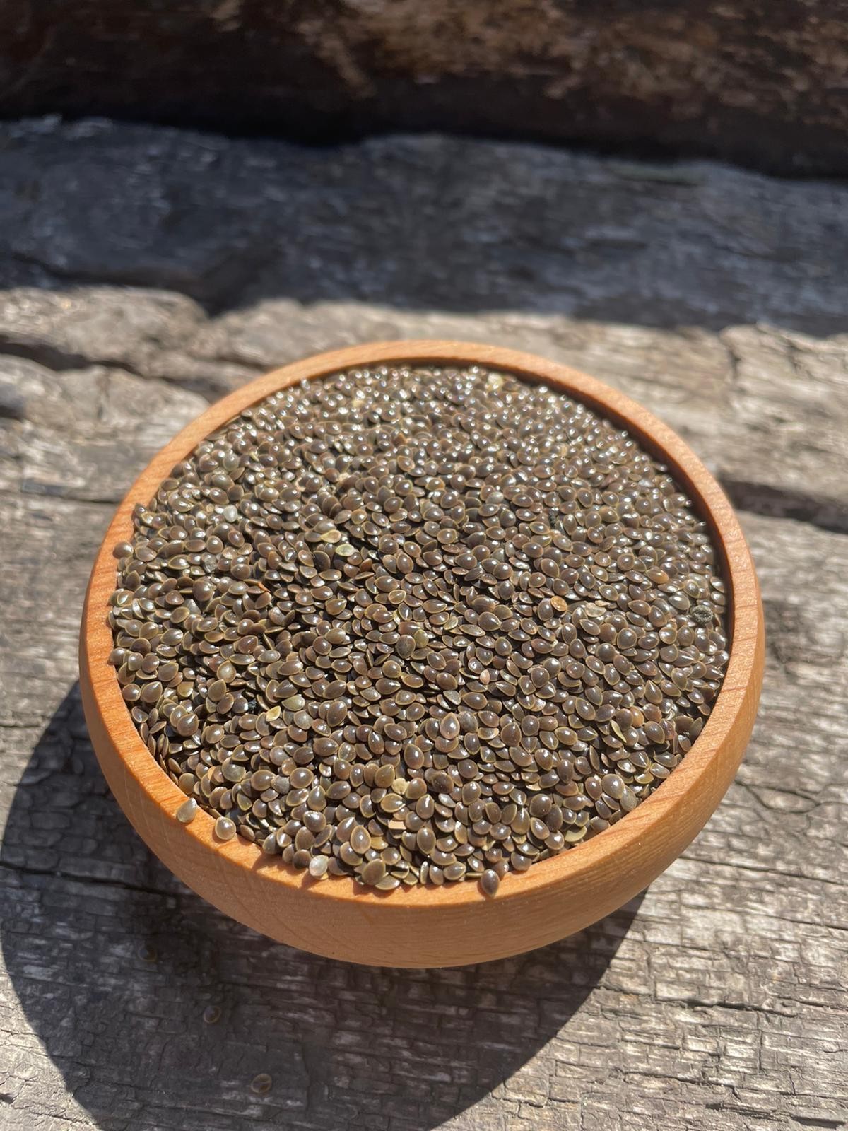 Doğanın Zırhı – Isırgan Tohumu (150gr)