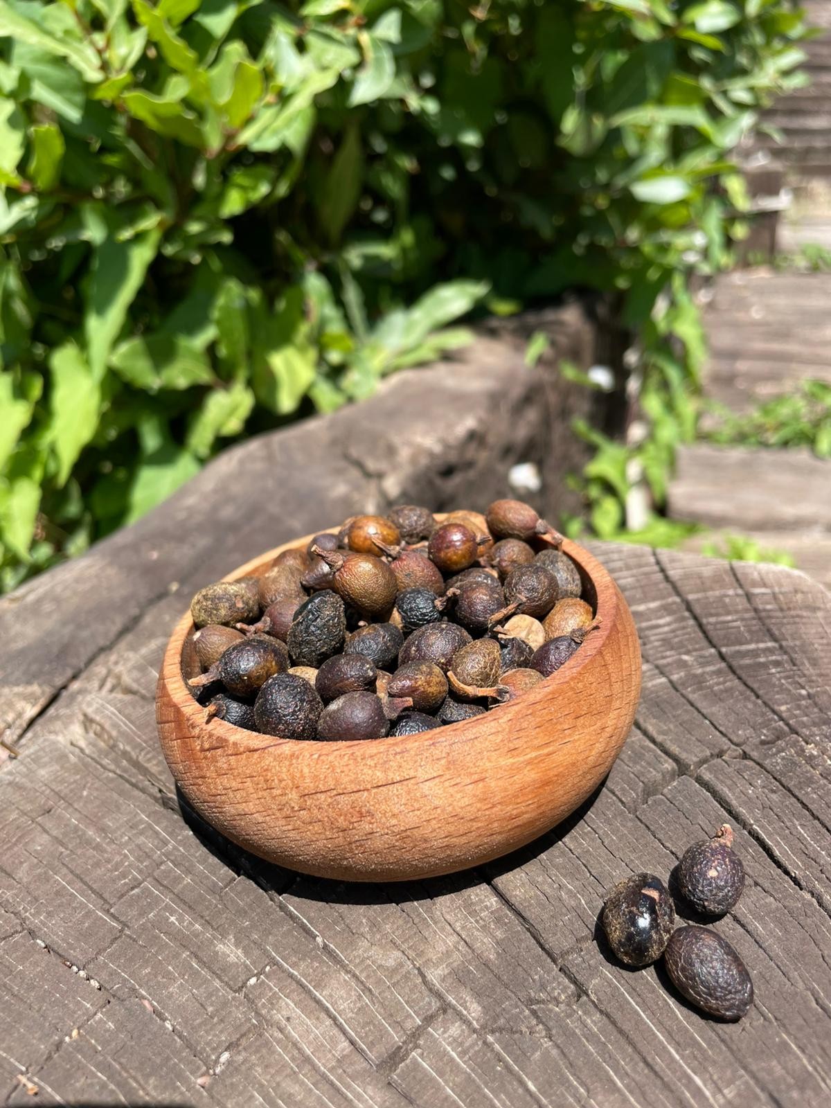 Defne Tohumu(100gr)