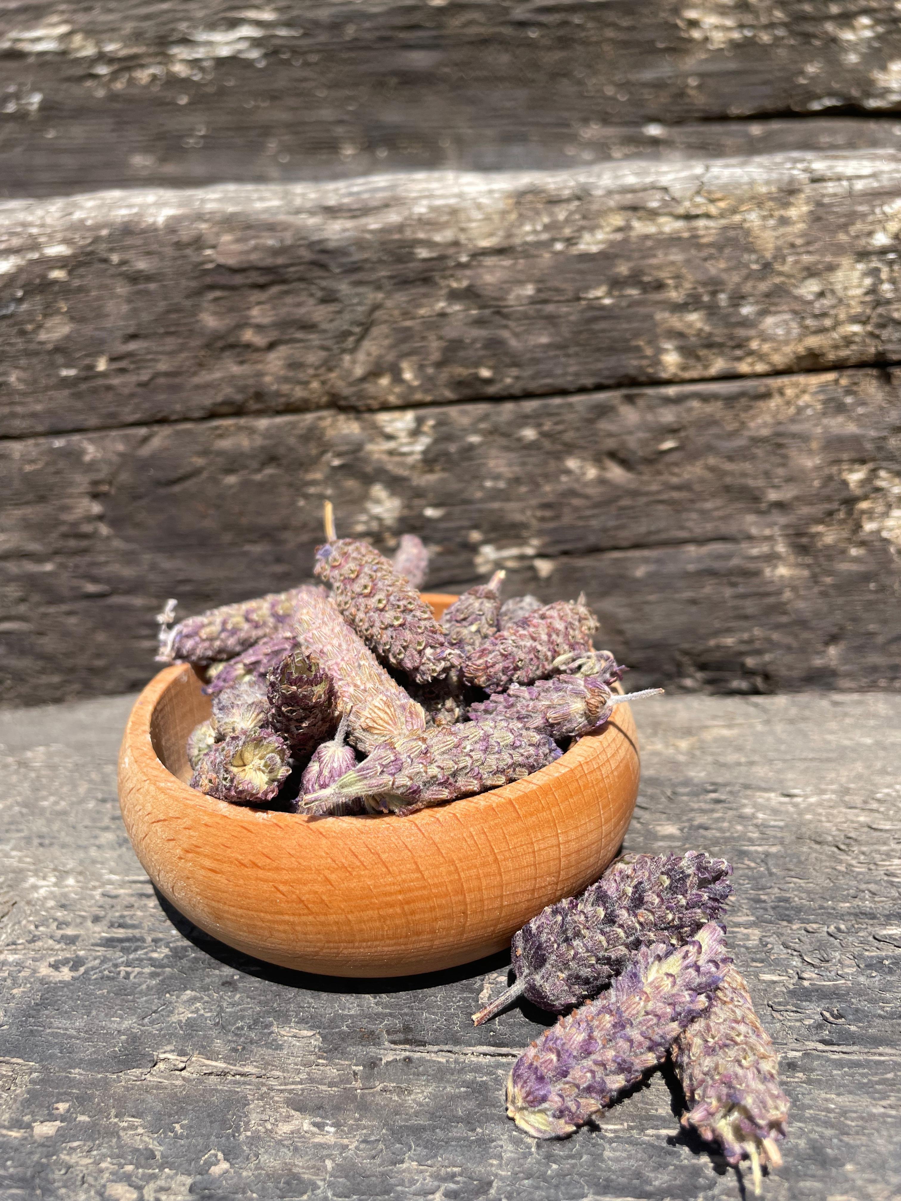 Karabaş Otu (100 gr)
