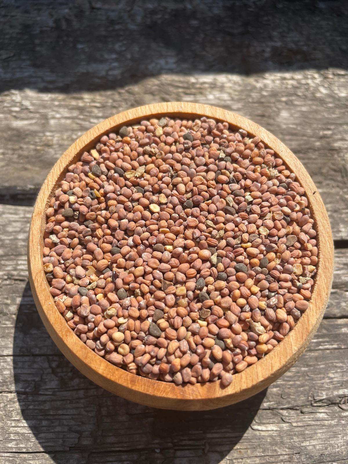 Şifa Kökü – Kırmızı Turp Tohumu (200gr)