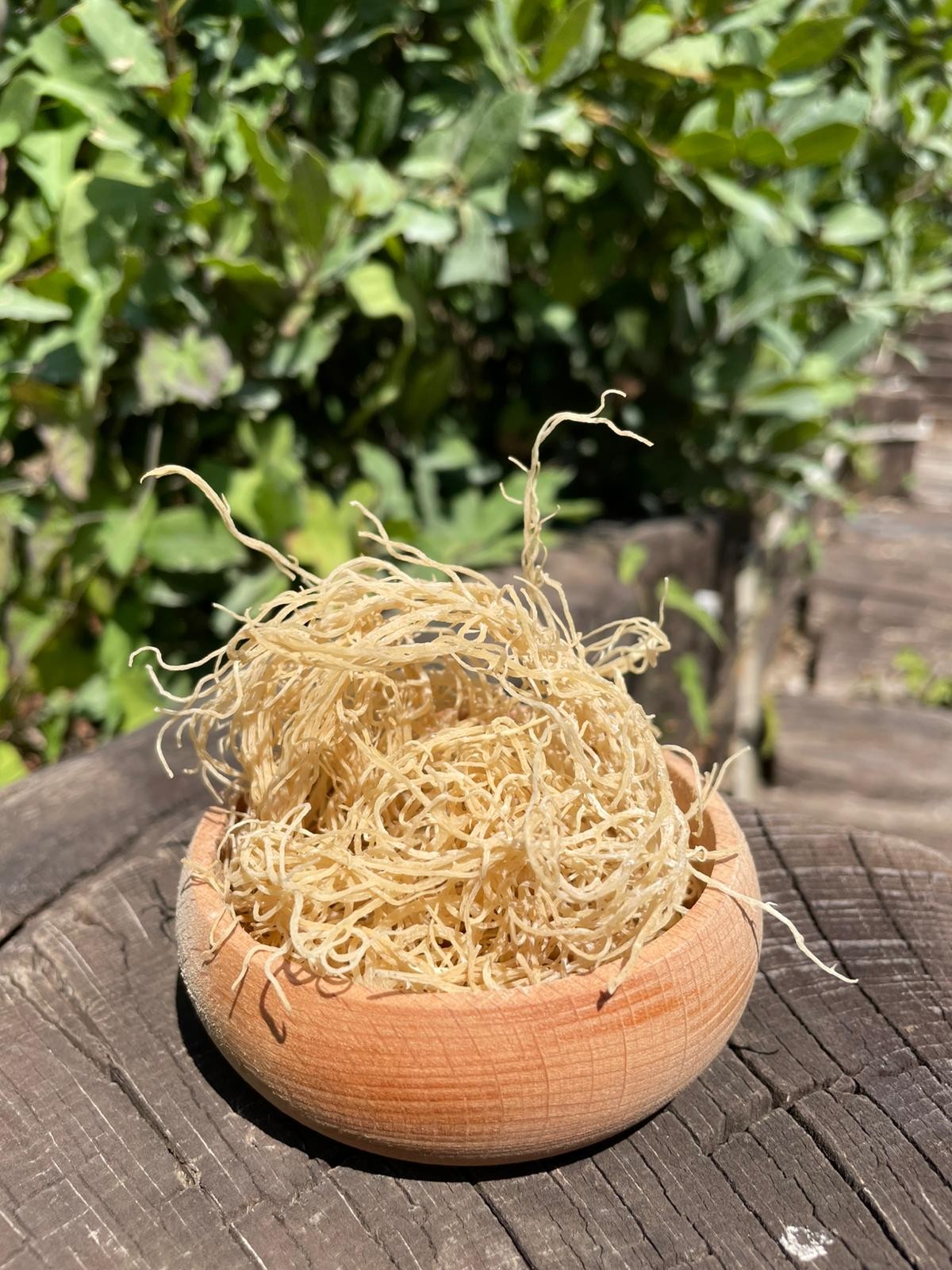 Deniz Kadayıfı (100gr)