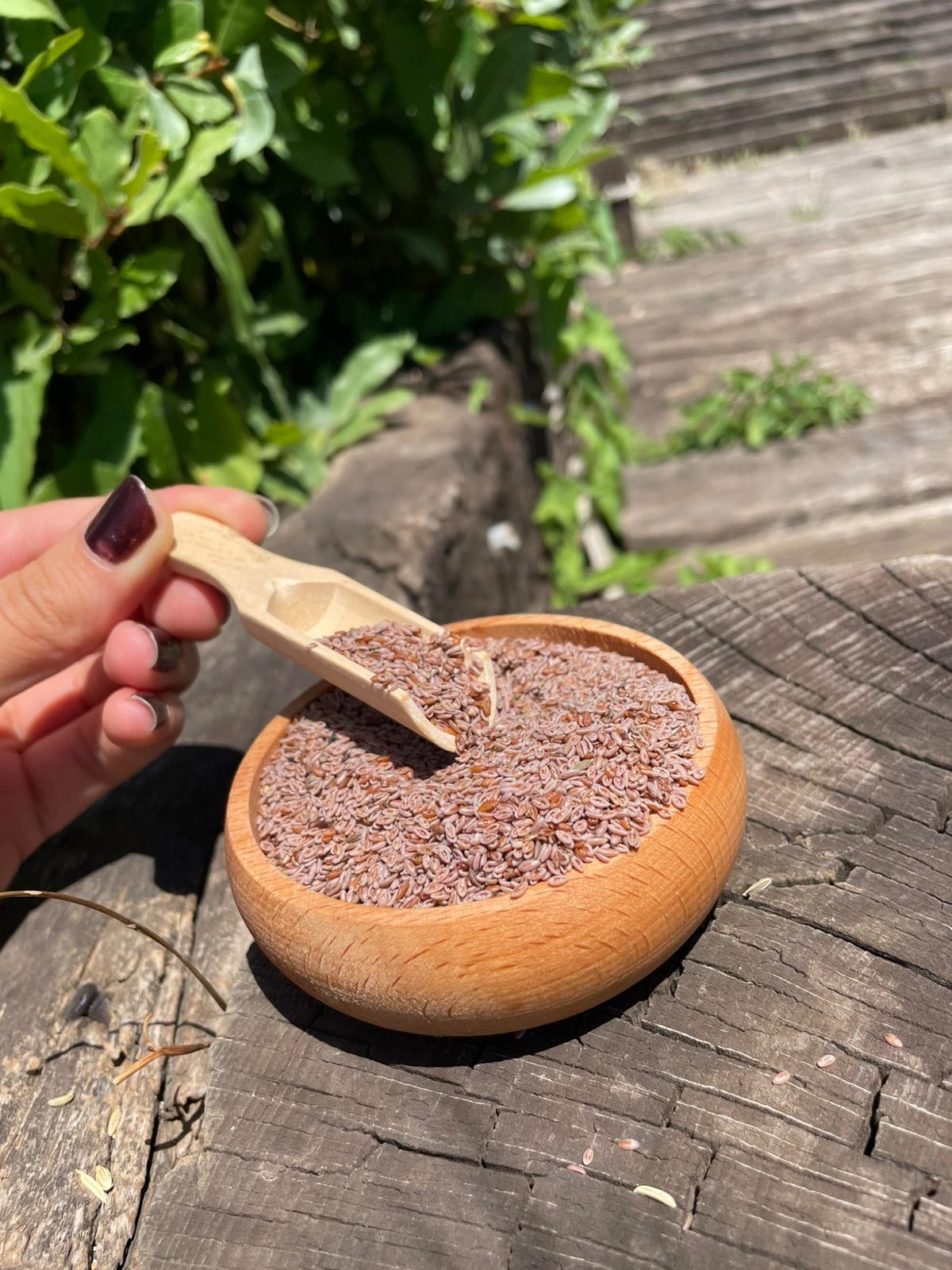 Karnı Yarık Tohumu (100g)