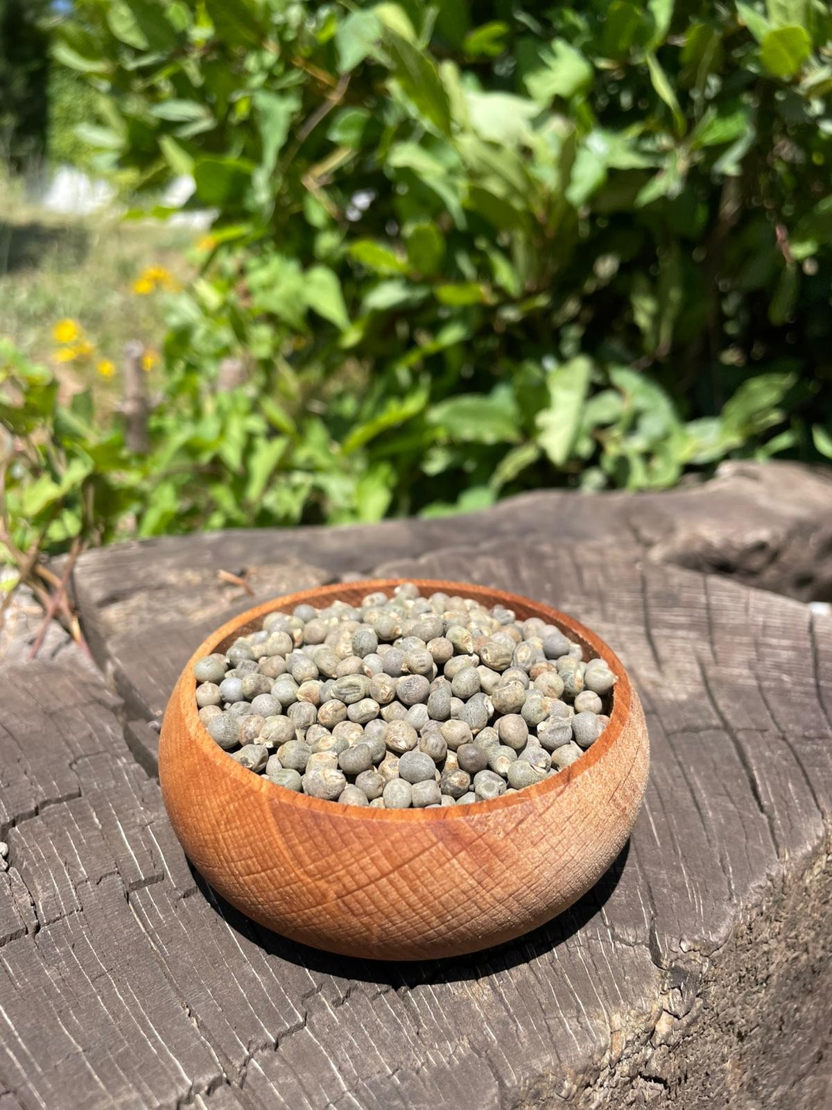 Bamya Tohumu(200gr)