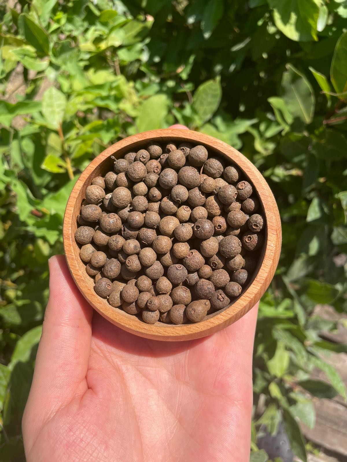 Yenibahar(200gr)