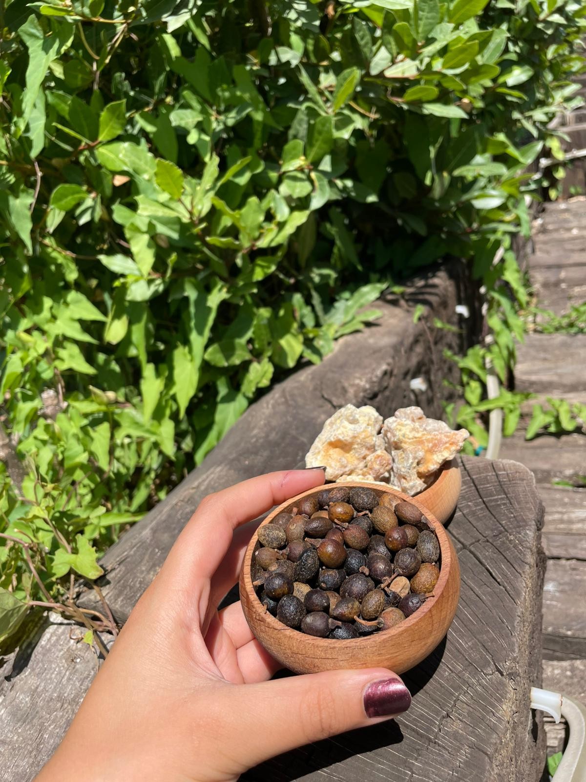 Defne Tohumu(100gr)