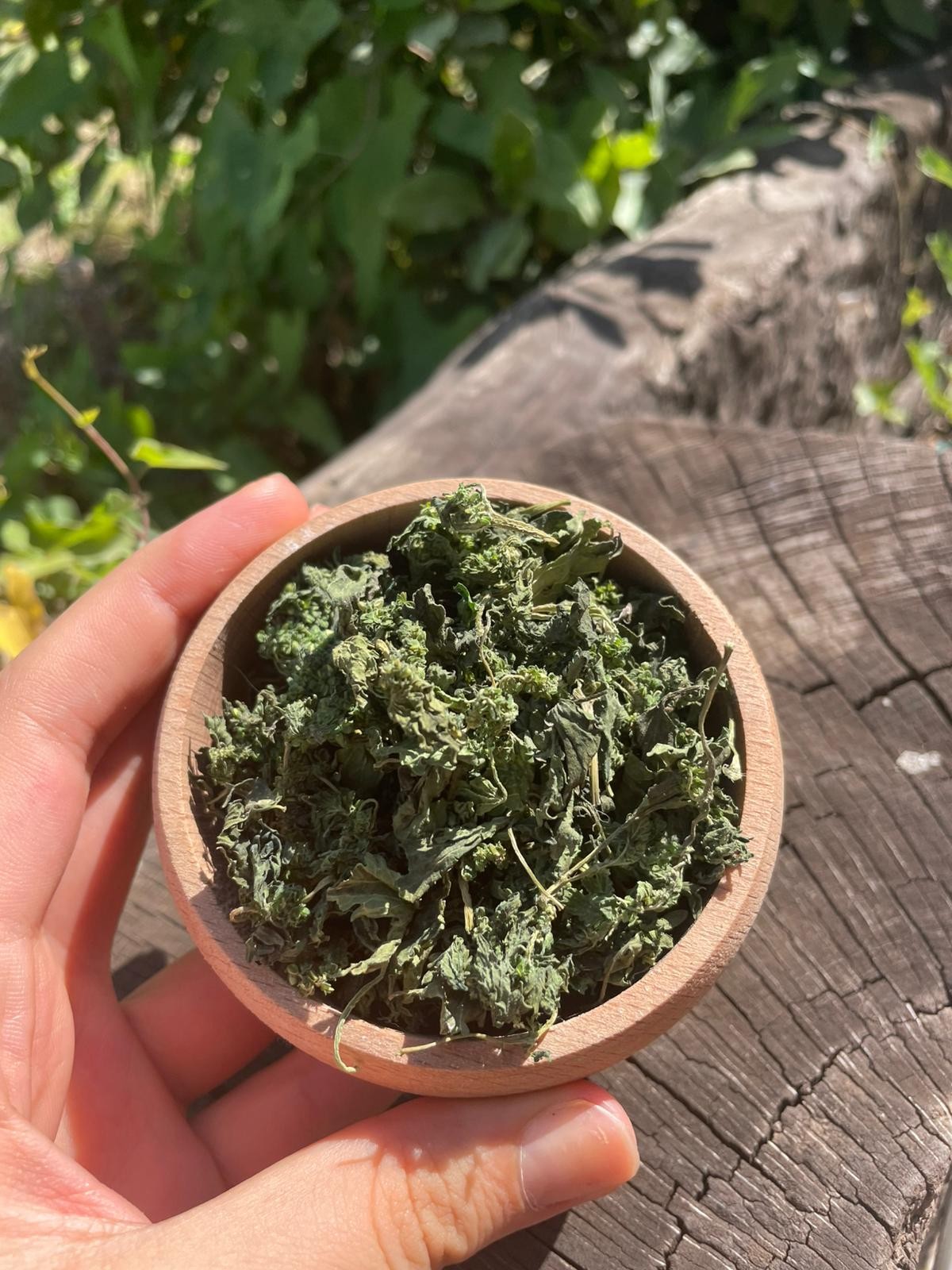 Isırgan Otu (100g)