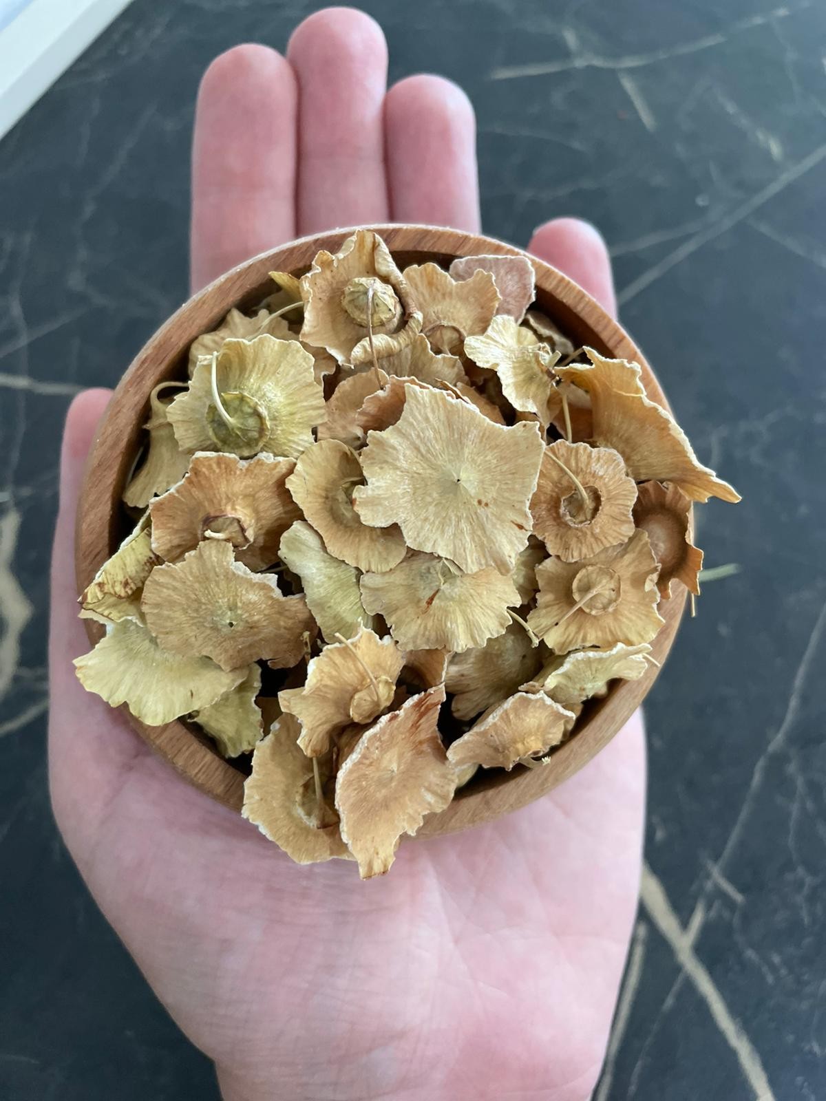 Kara Çalı Pulu(100gr)
