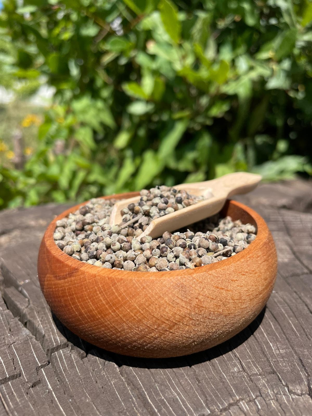Hayıt Tohumu (200g)