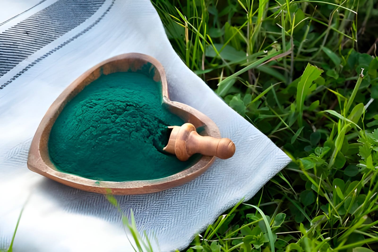 Spirulina (100gr)