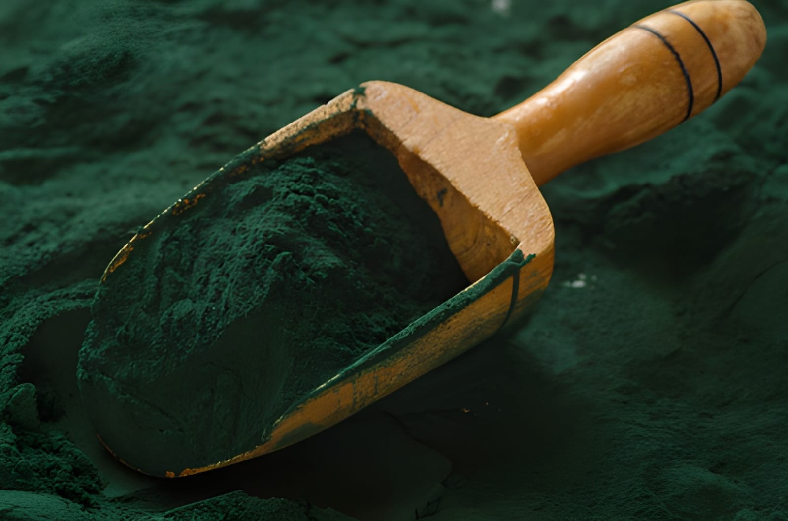 Spirulina (100gr)