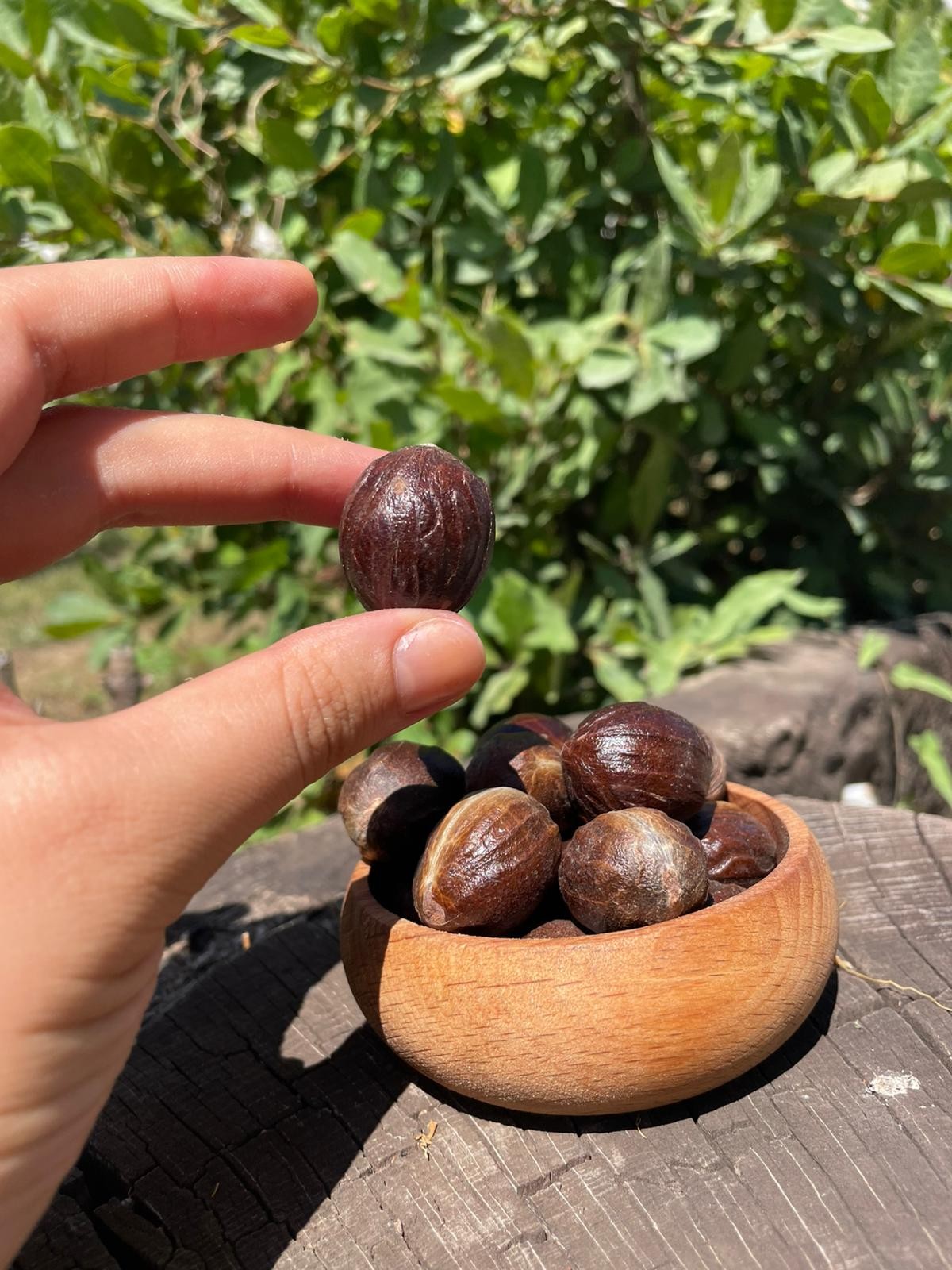 Muskat(100GR)