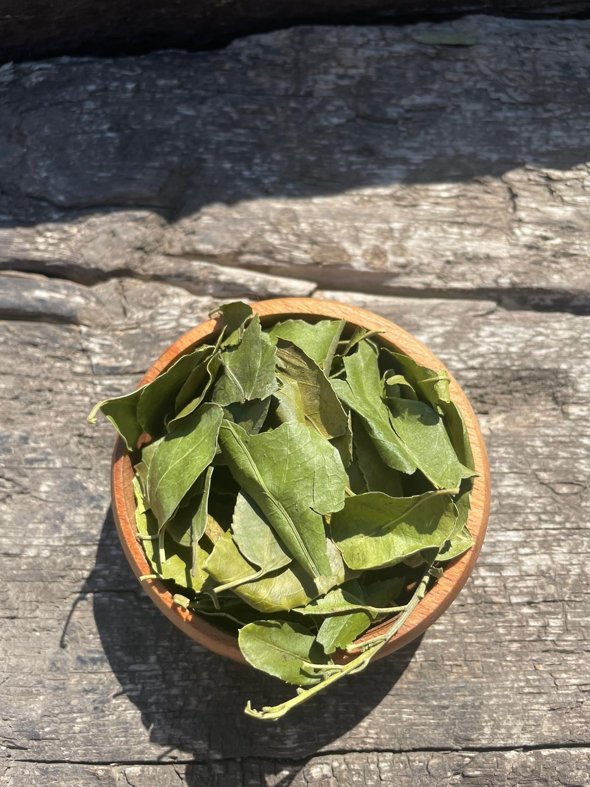 Sidr Yaprağı (100gr)