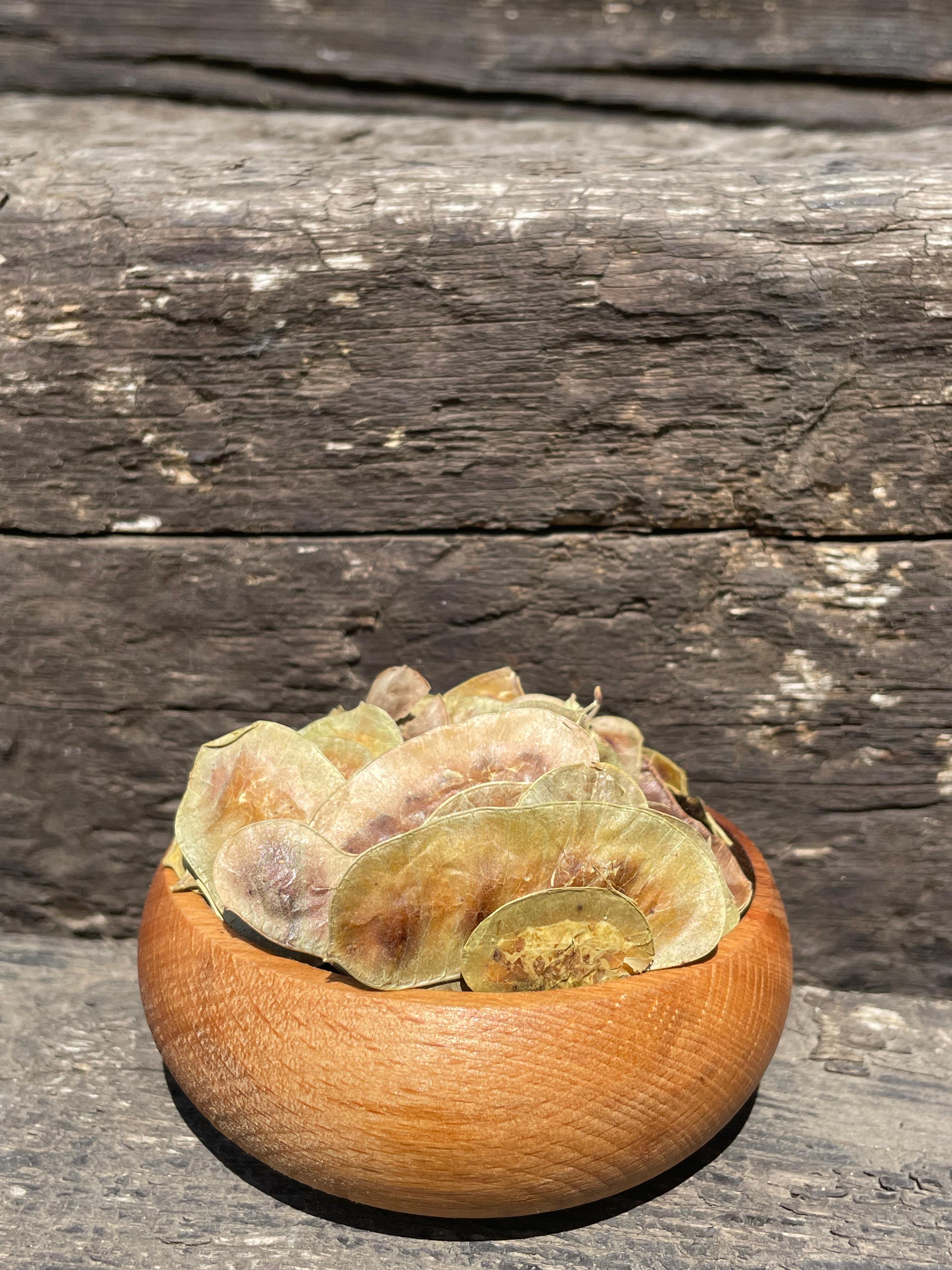 Açlık Otu(100gr)