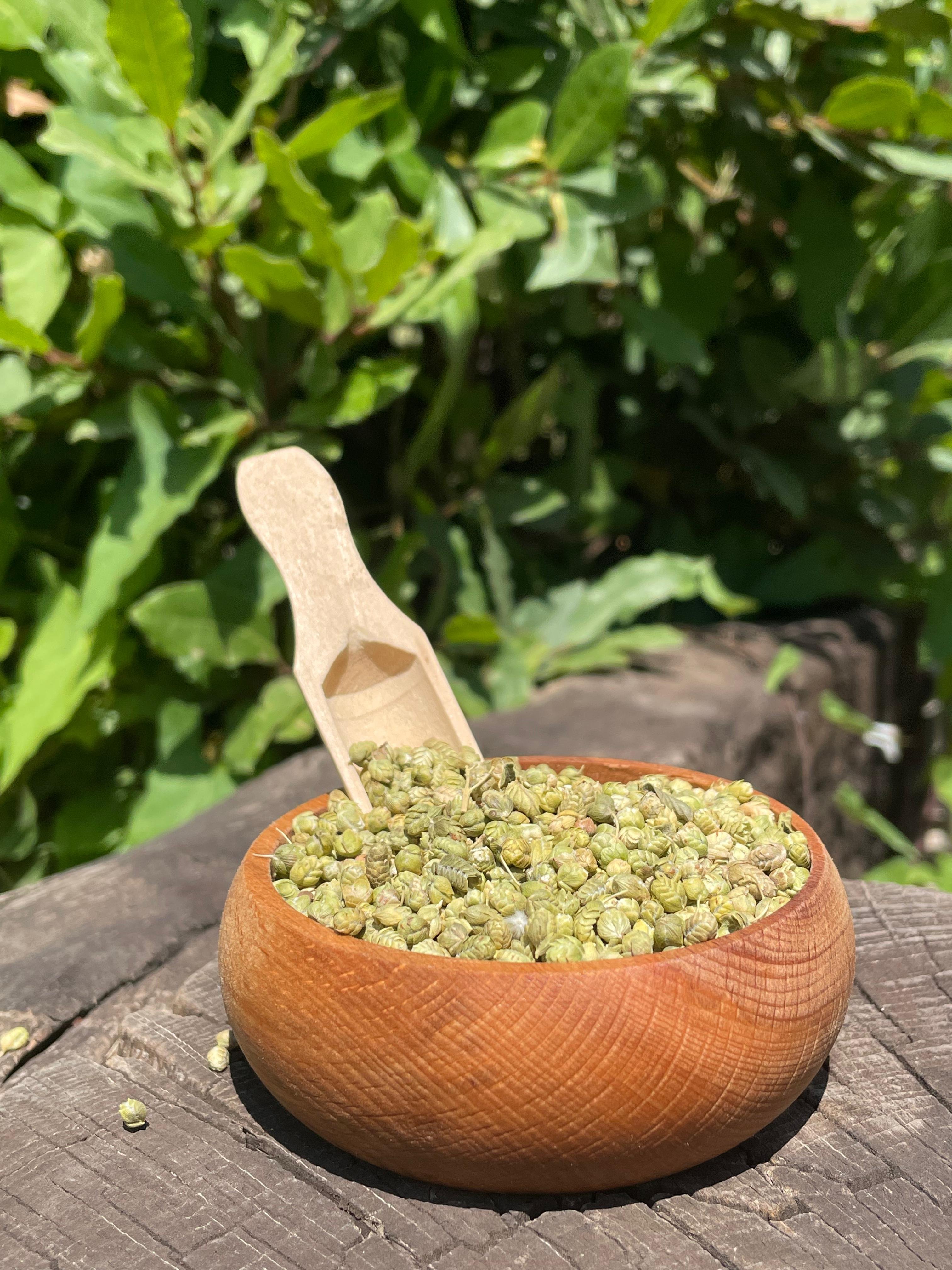 Bilye Kekik(100gr)