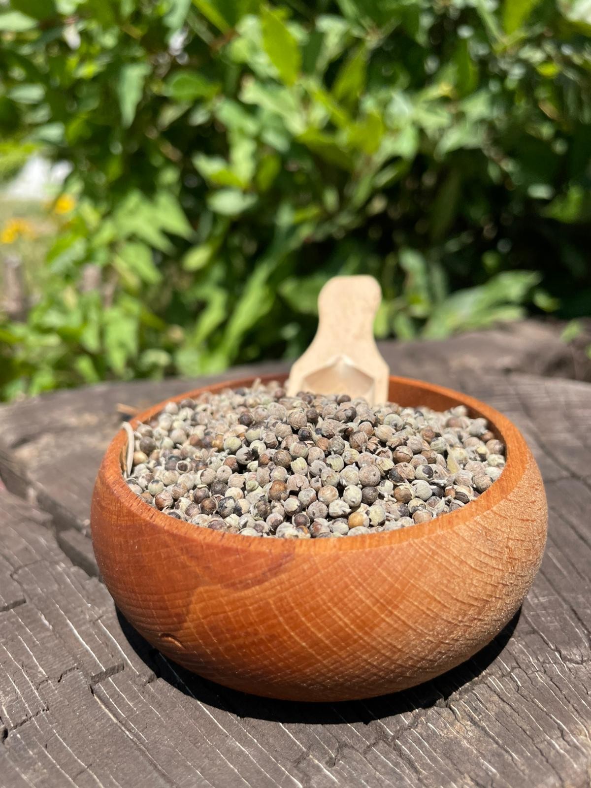 Hayıt Tohumu (200g)
