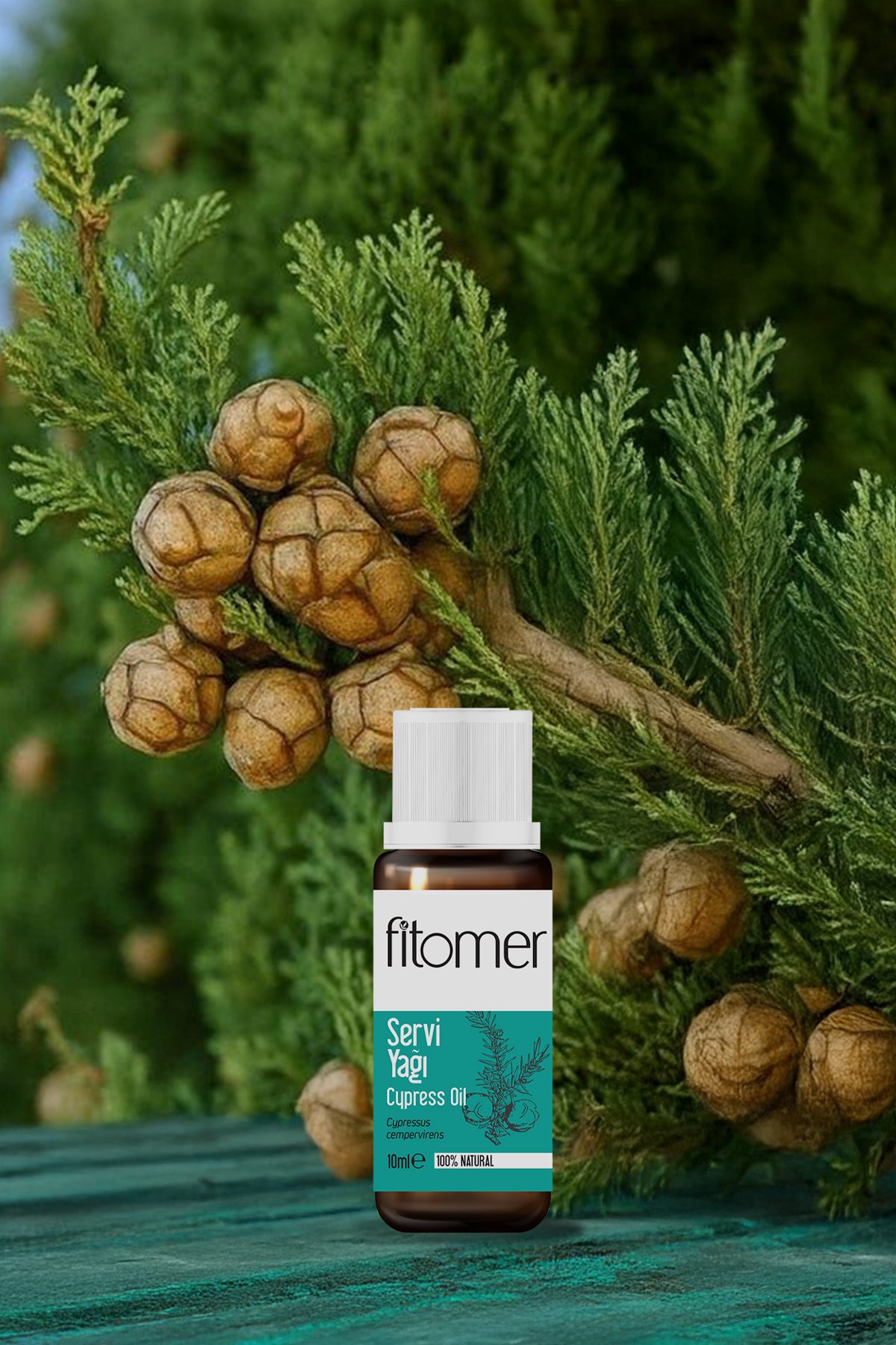 Fitomer Servi Yağı - 10 ML