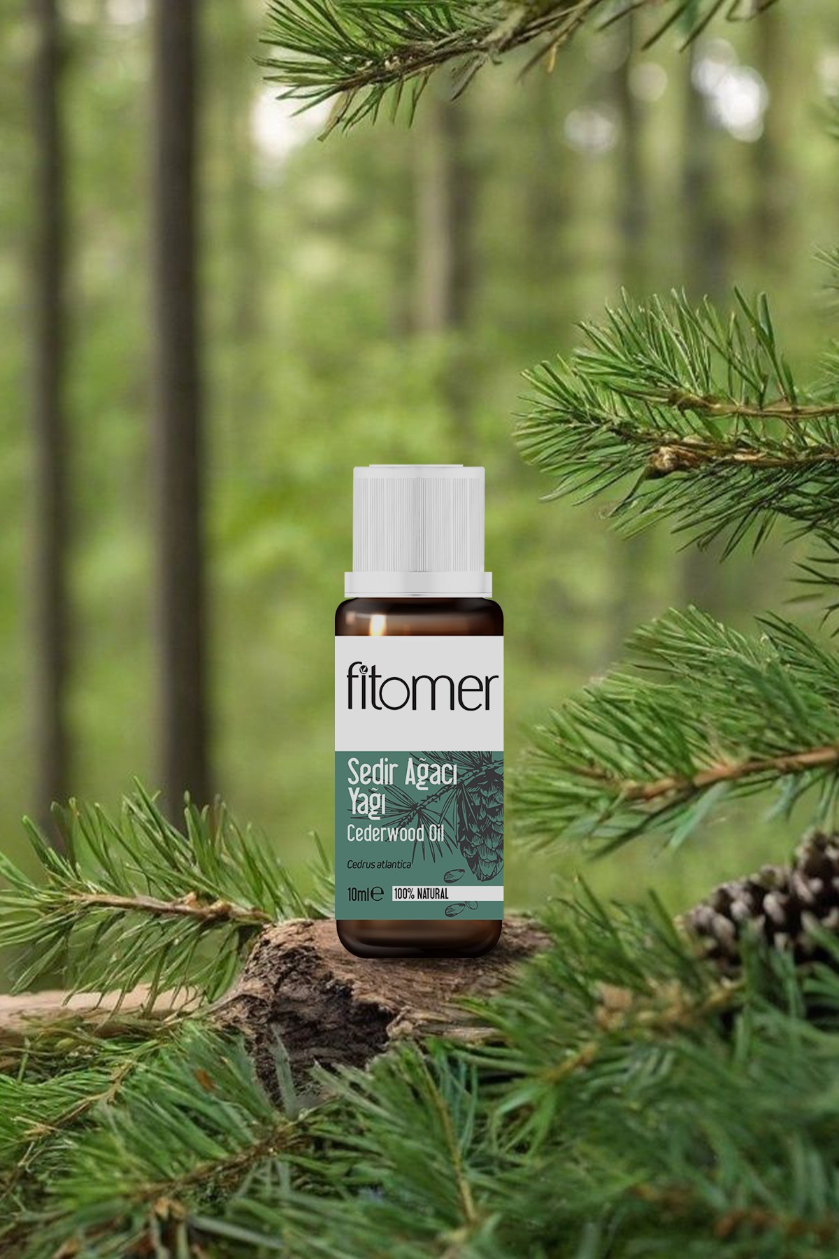 Fitomer Sedir Ağacı Yağı - 10 ML