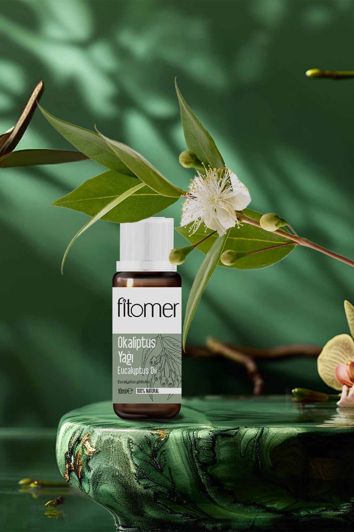 Fitomer Okaliptus Yağı - 10 ML
