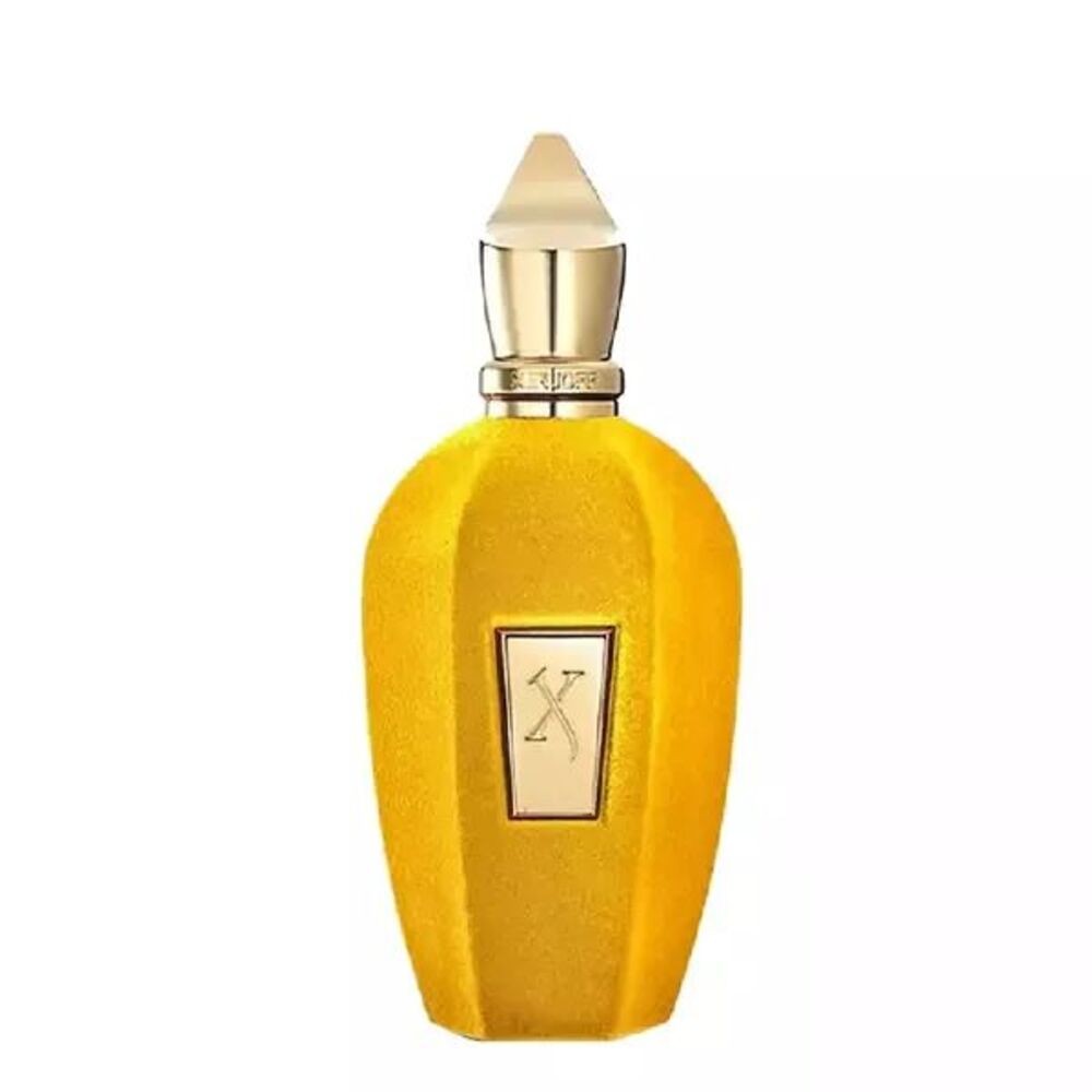 XERJOFF Erba Gold 100ml Unisex Tester Parfüm