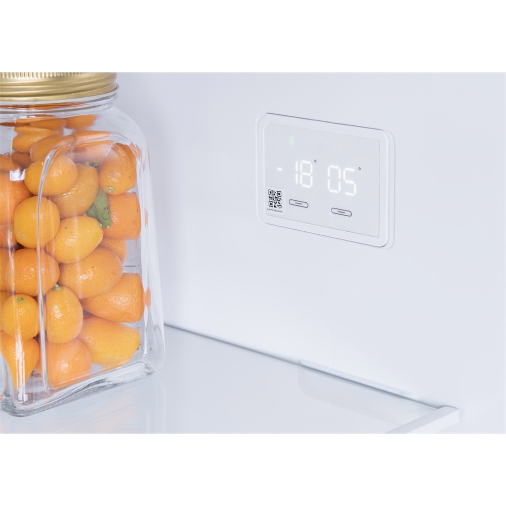 Regal NF 48021 Çift Kapılı No Frost Buzdolabı