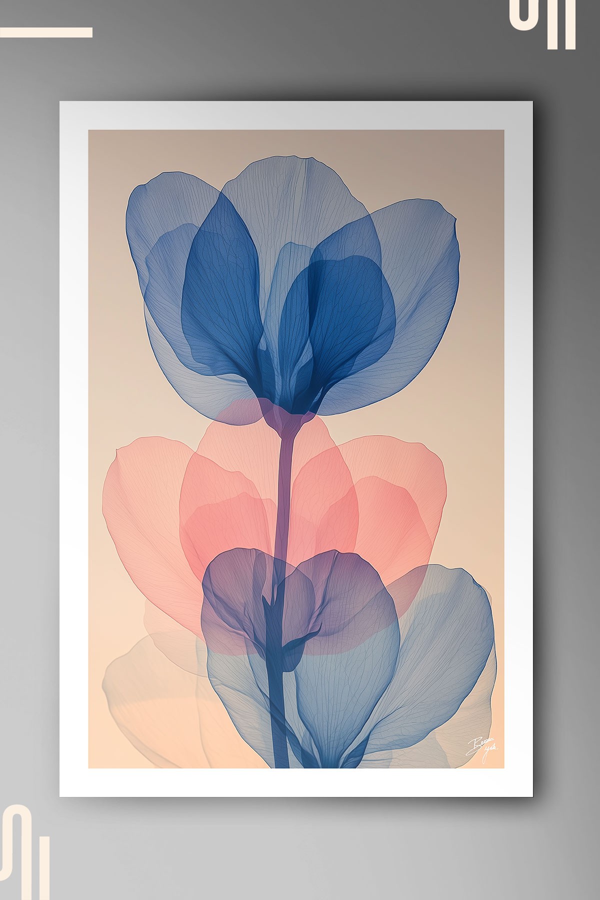 Floral Anatomy Art Poster - Çerçevesiz