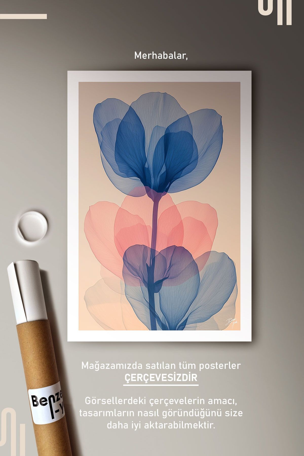 Floral Anatomy Art Poster - Çerçevesiz