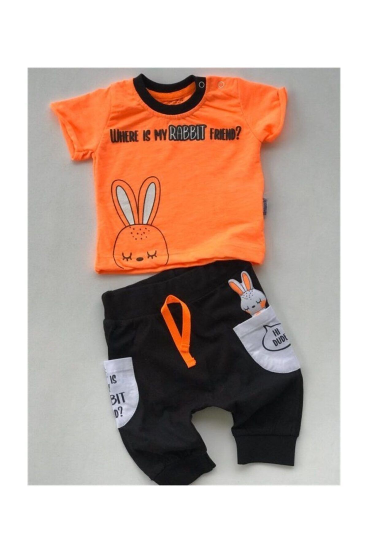 Arkadaşım Rabbit