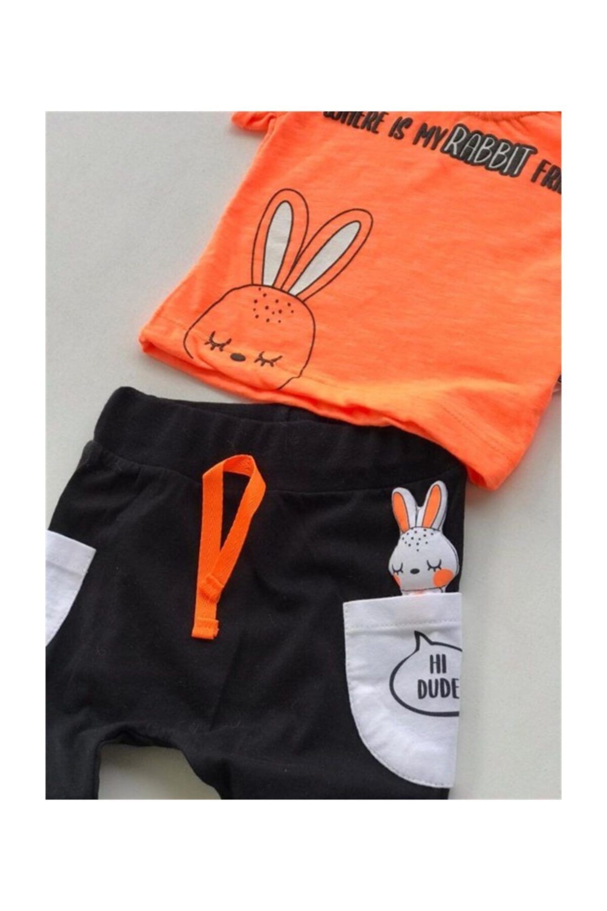 Arkadaşım Rabbit