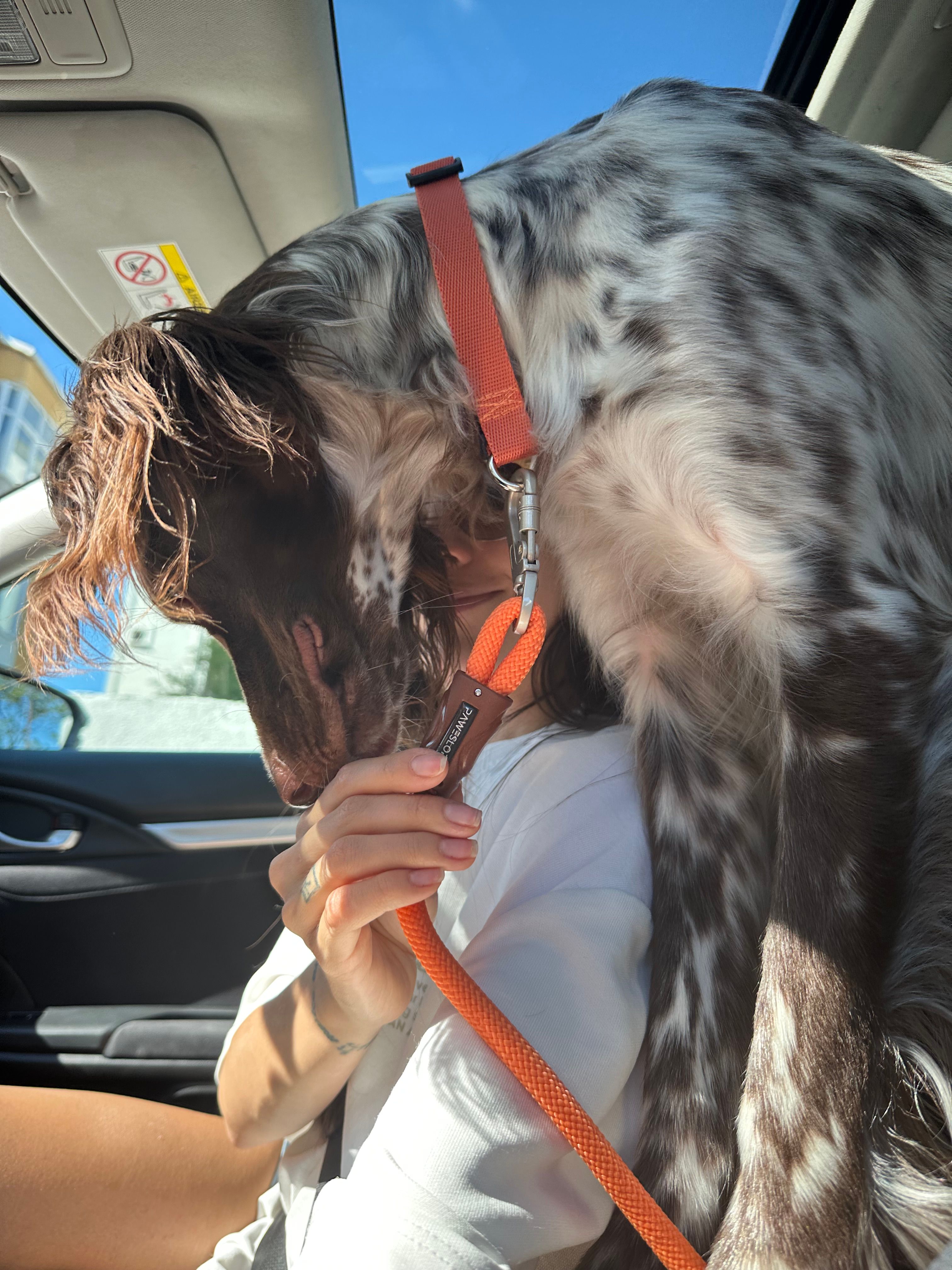 11 mm Halat Köpek Gezdirme Kayışı – 180 cm | Güvenlik Kilitli, 150 kg Taşıma Kapasiteli, 9 Renk Seçeneğiyle