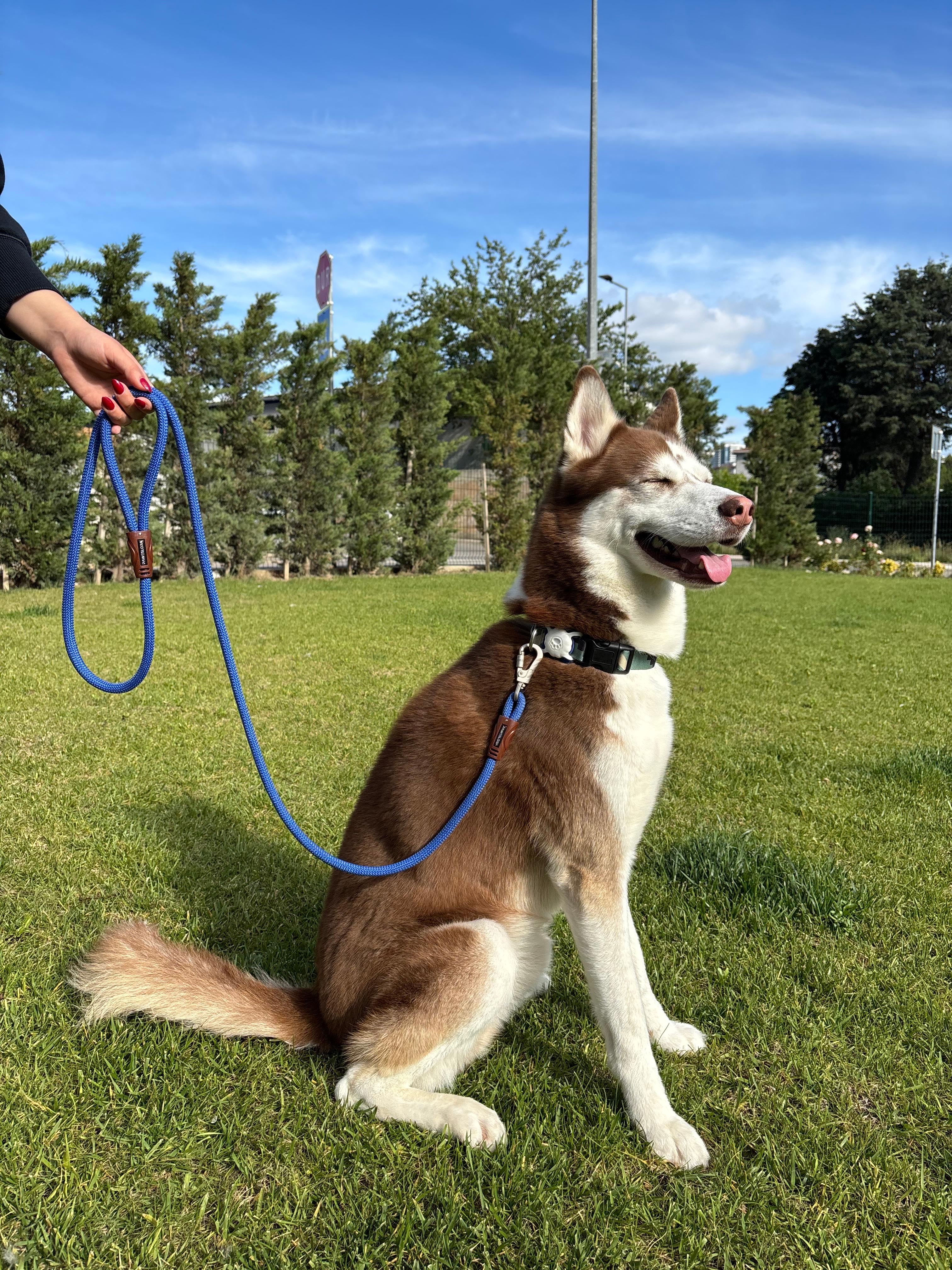 11 mm Halat Köpek Gezdirme Kayışı – 180 cm | Güvenlik Kilitli, 150 kg Taşıma Kapasiteli, 9 Renk Seçeneğiyle