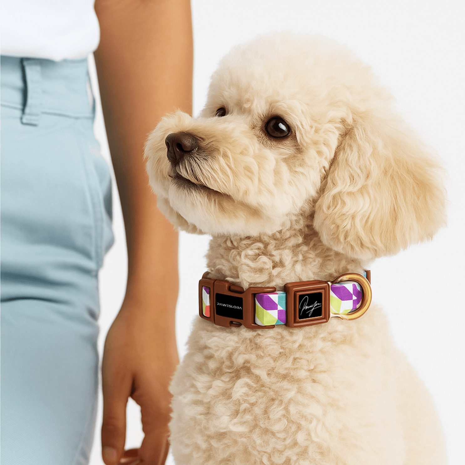 Twist Pop Drop | Köpek Tasması