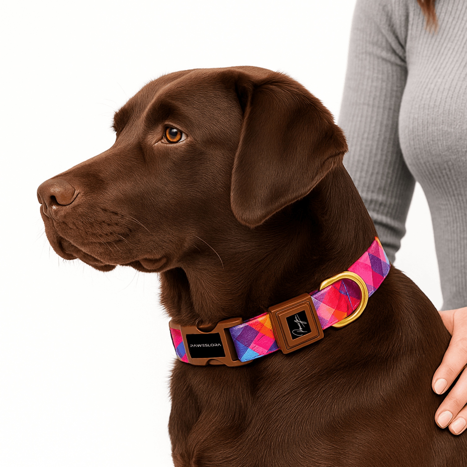 Colorwave | Köpek Tasması