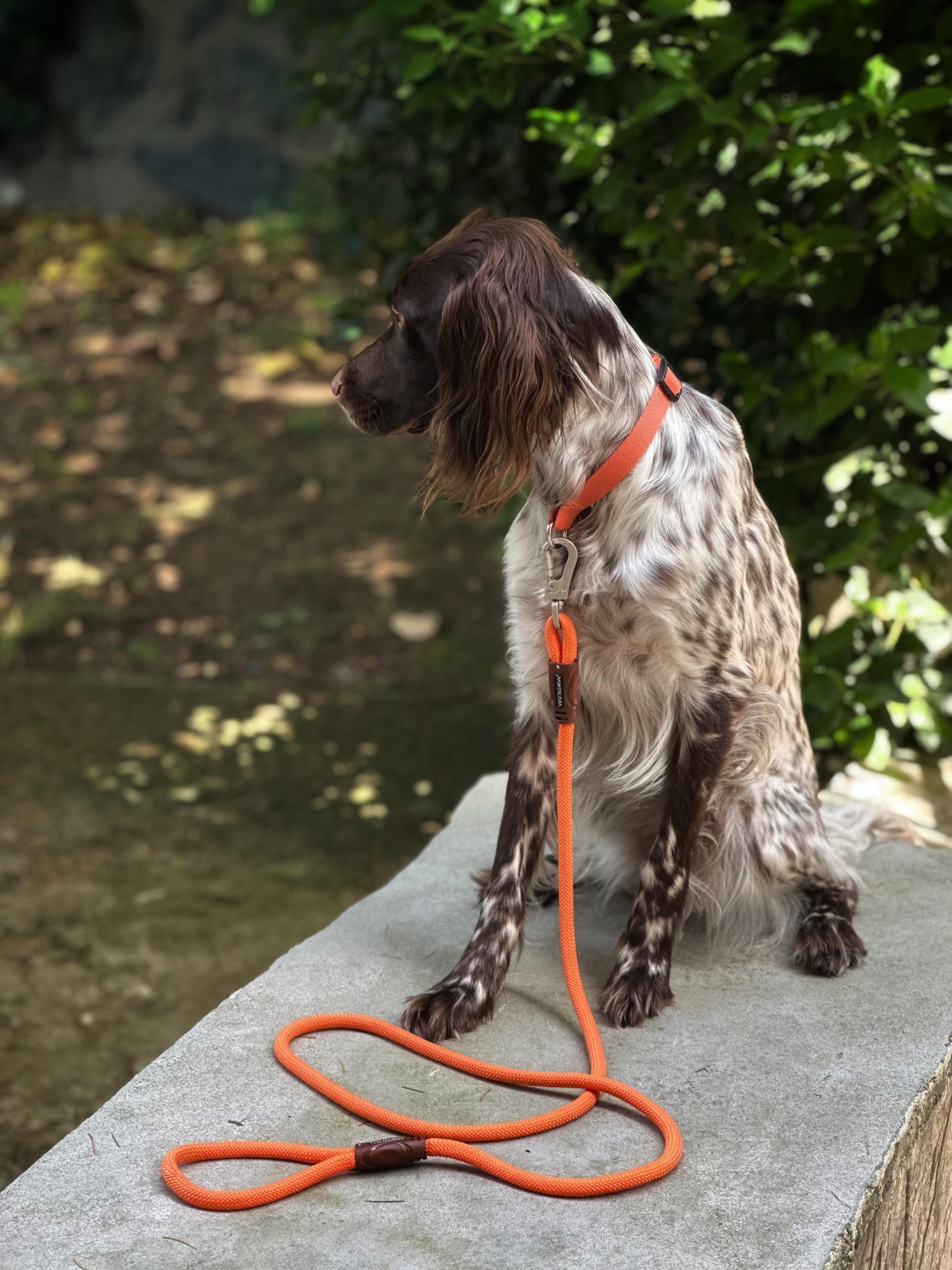 11 mm Halat Köpek Gezdirme Kayışı – 180 cm | Güvenlik Kilitli, 150 kg Taşıma Kapasiteli, 9 Renk Seçeneğiyle