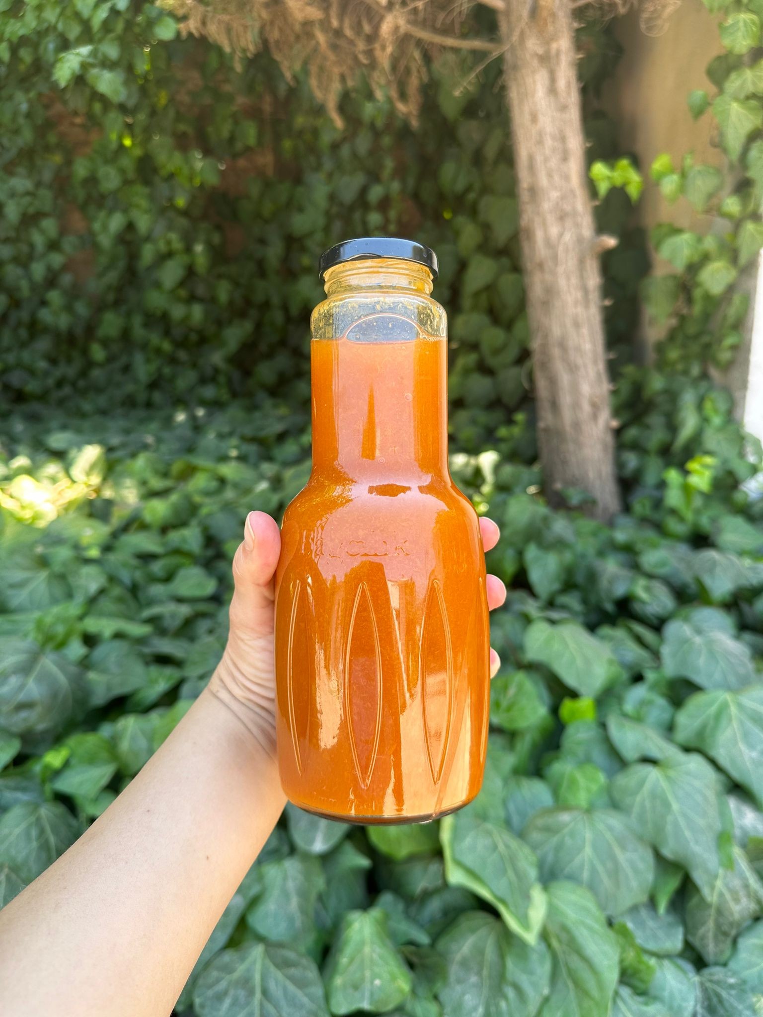 Kayısı Özü 750 ml 