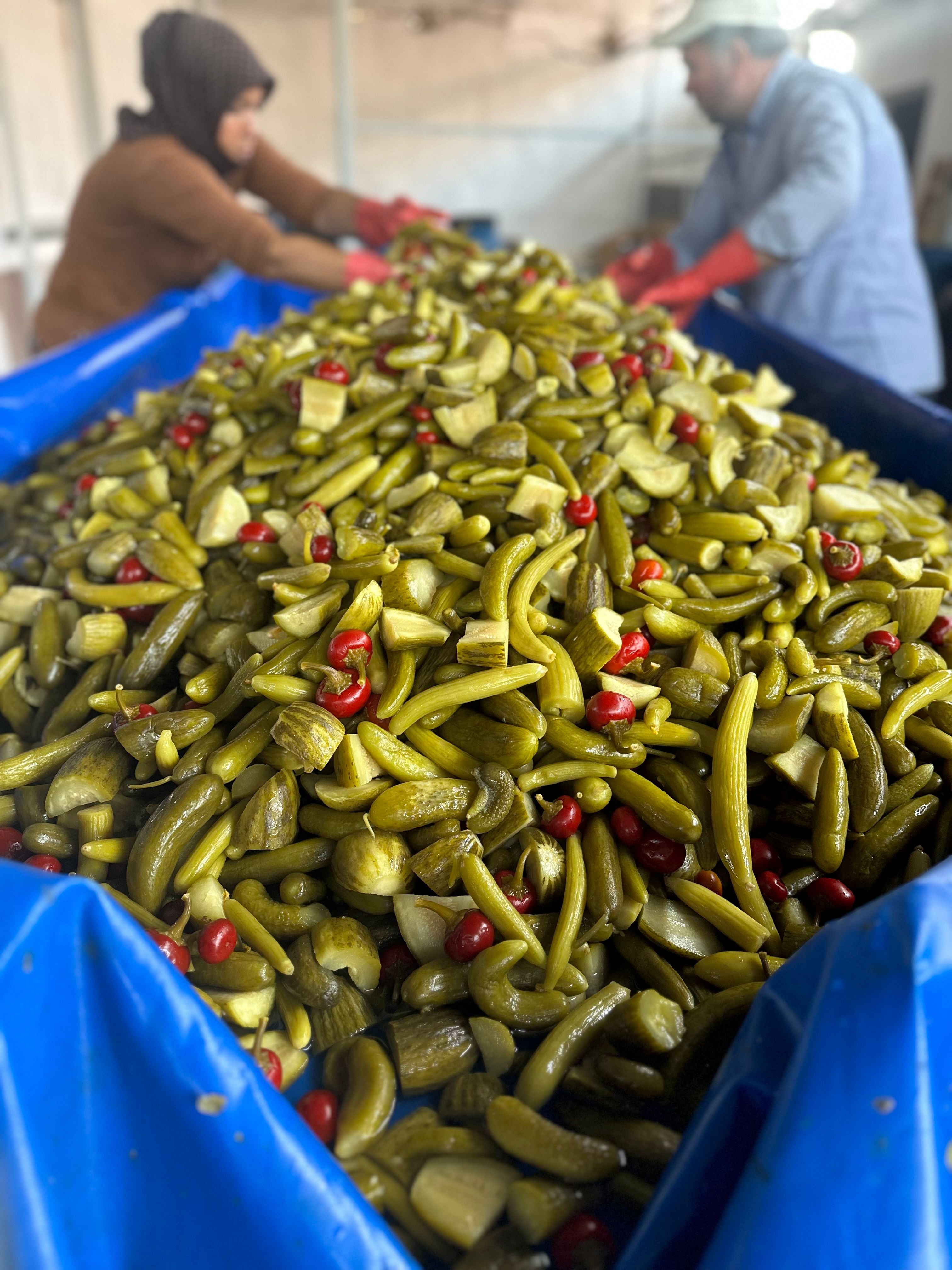 Karışık Kelek Turşusu 3 litre 