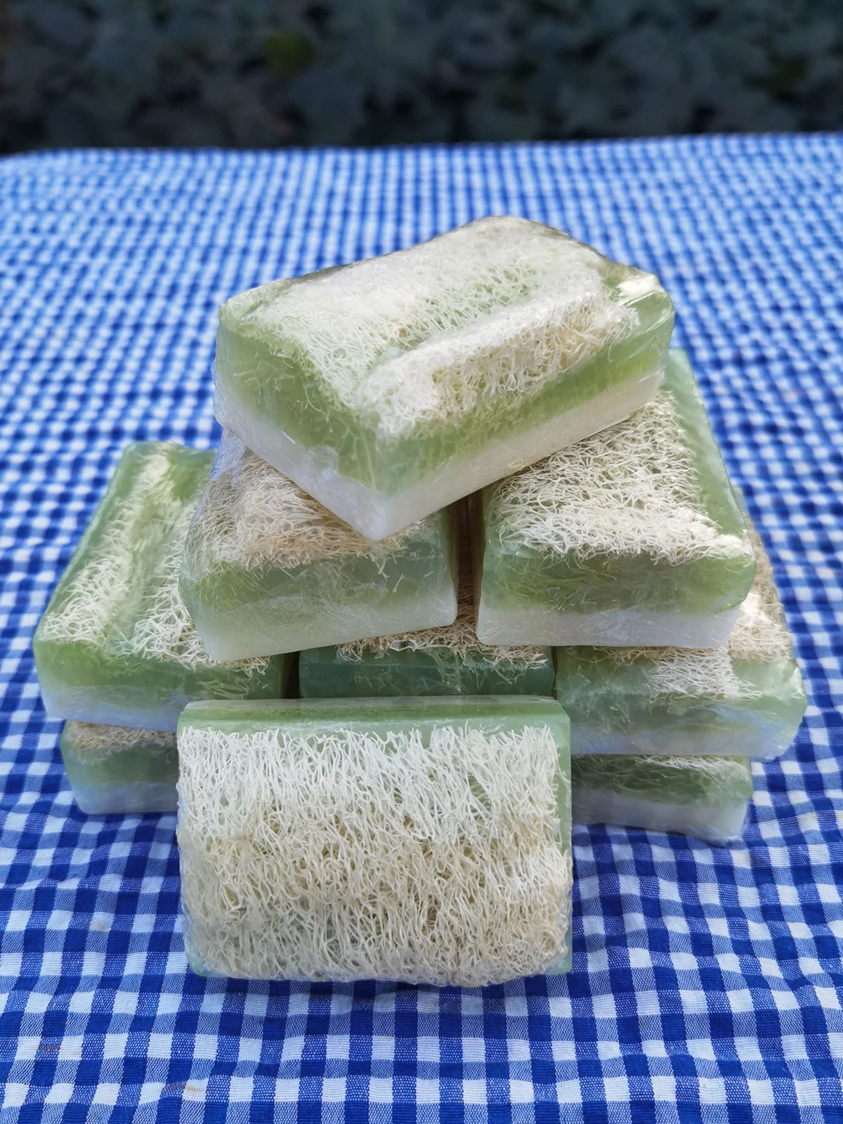 Doğal Kabak Lifli Aloe Vera Sabunu