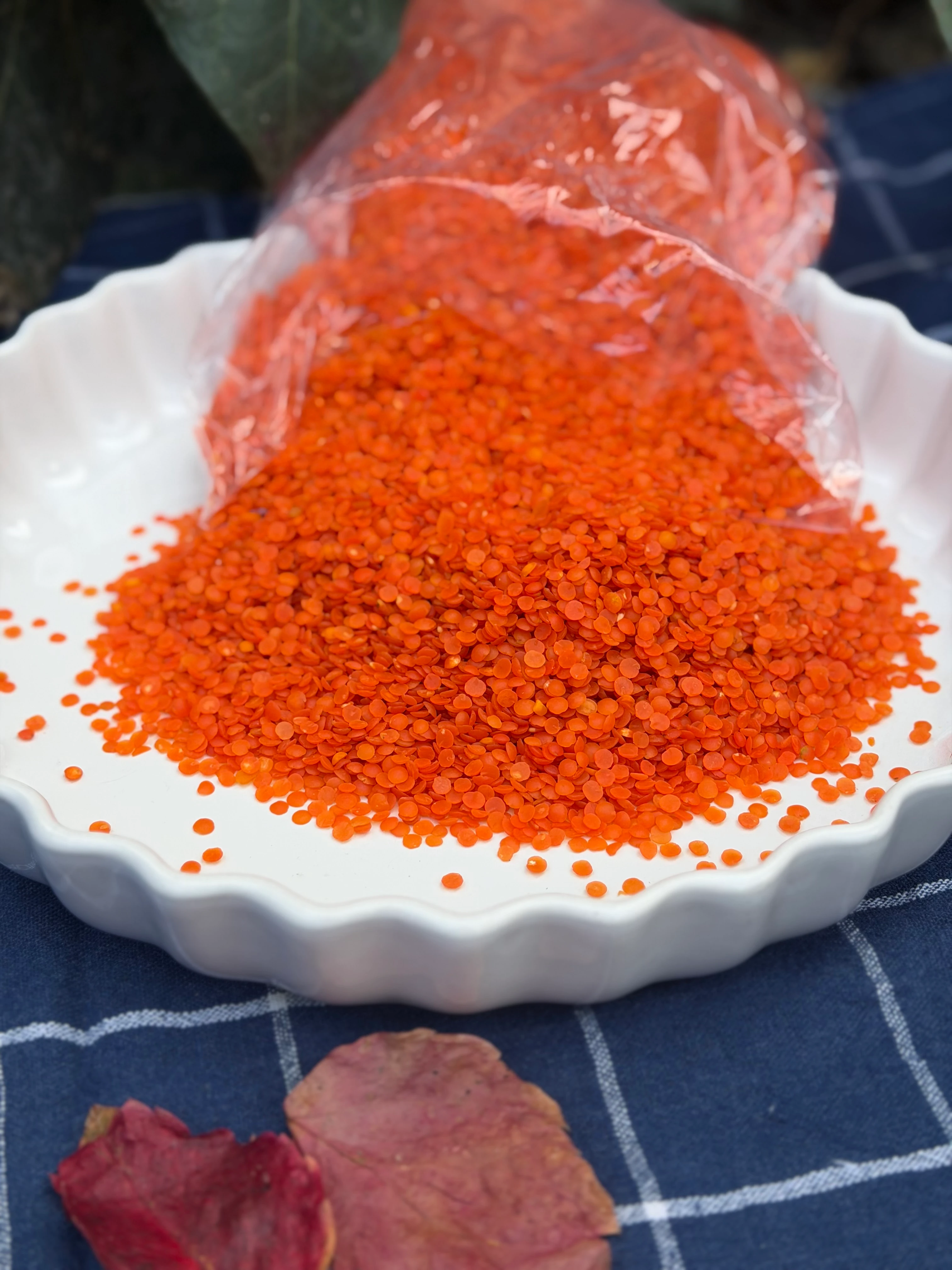 Kırmızı Mercimek kg