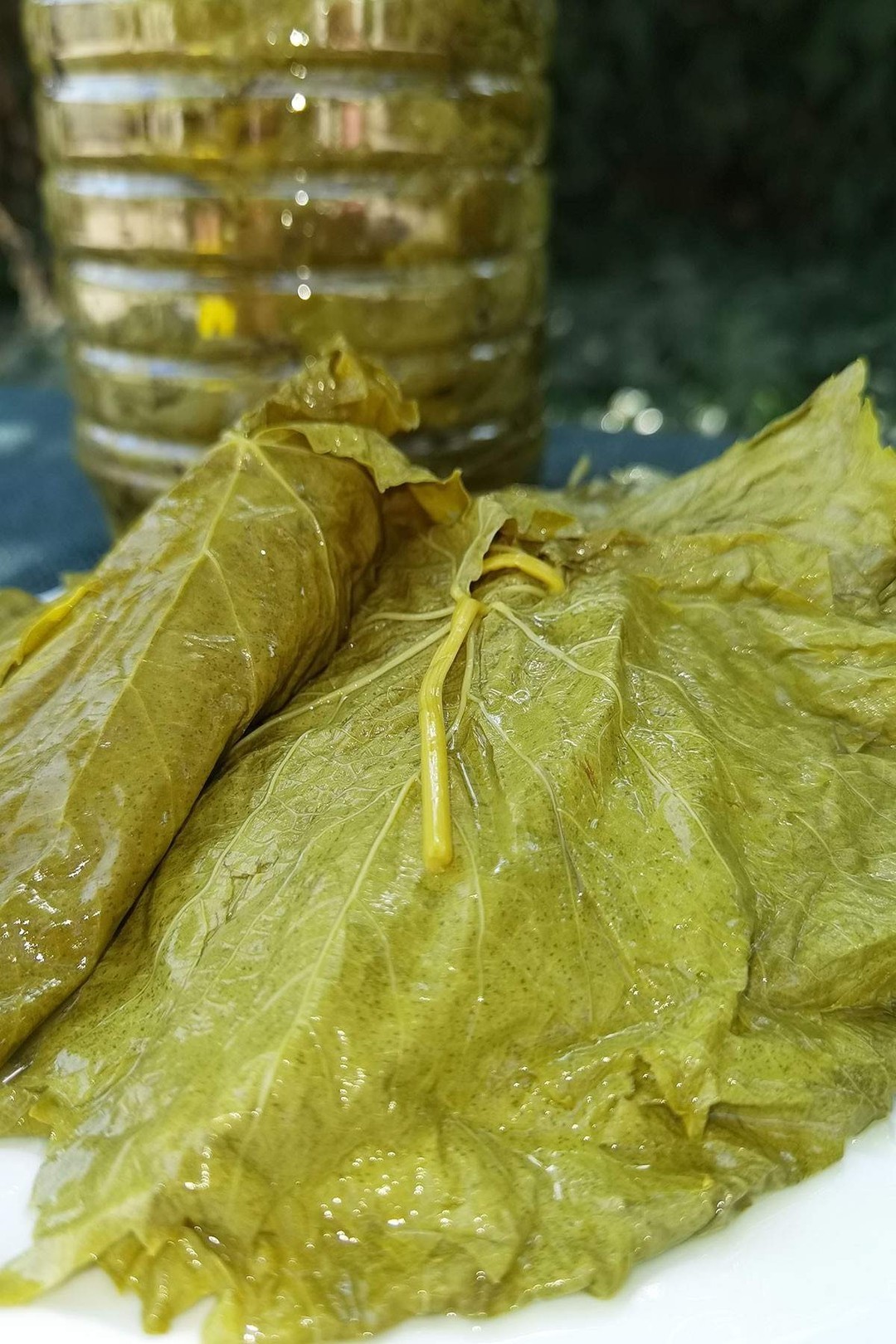 2 Adet 5 litrelik Salamura Yaprak-KARGO BEDAVA!!