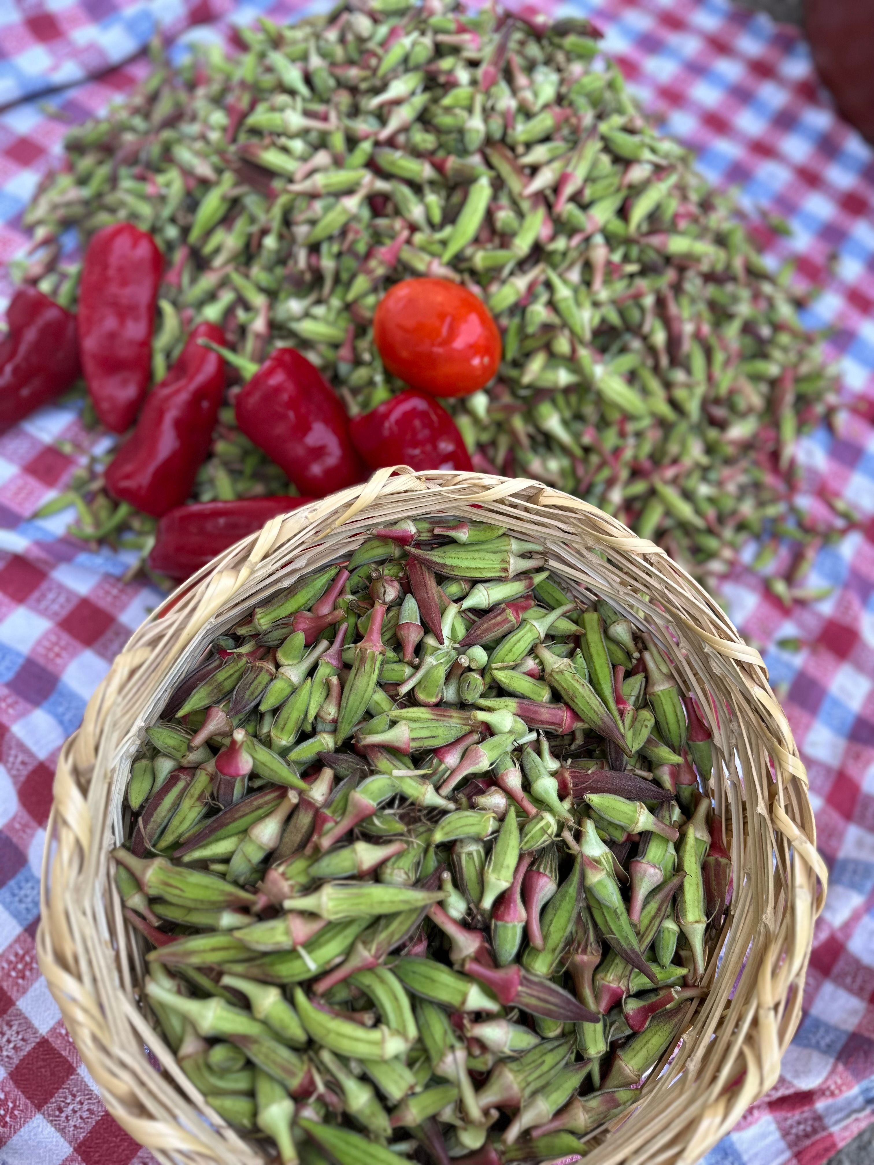 Kınalı Bamya 3 kg Kampanyalı