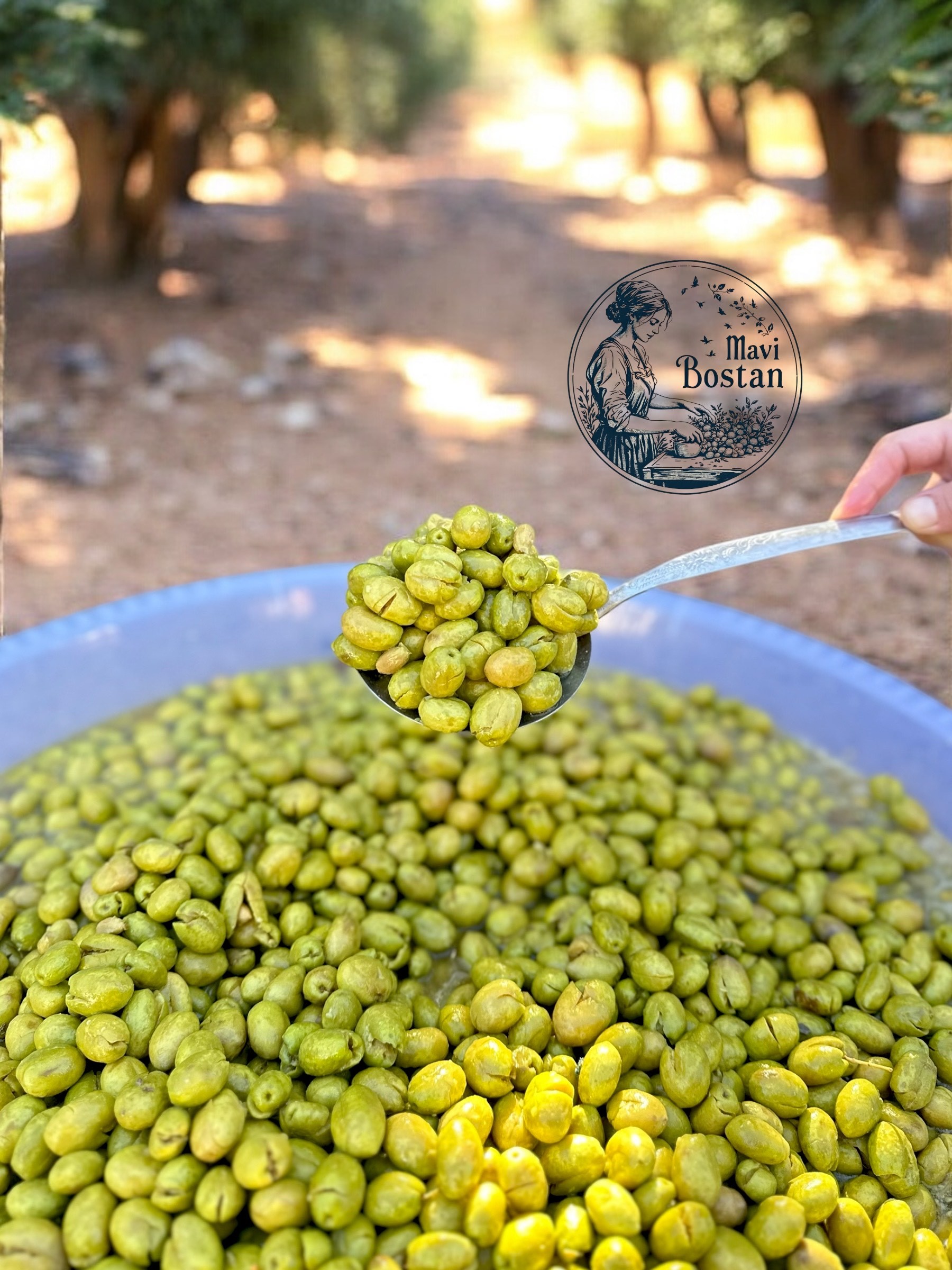 Taş Kırma Yeşil Zeytin 5 Litre-YENİ MAHSUL