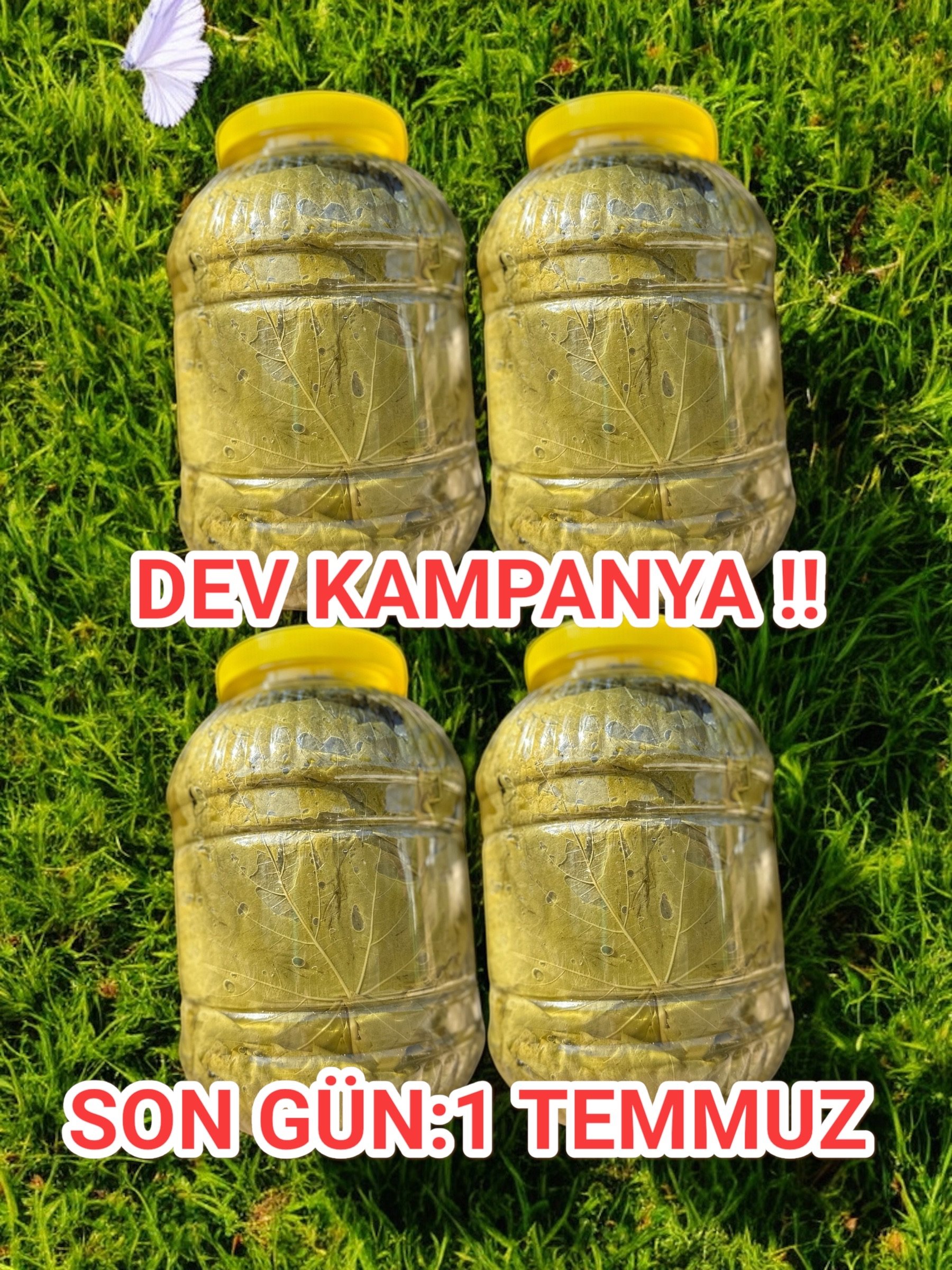 4 Adet 5 lt Salamura Yaprak KAMPANYASI-KARGO BEDAVA!