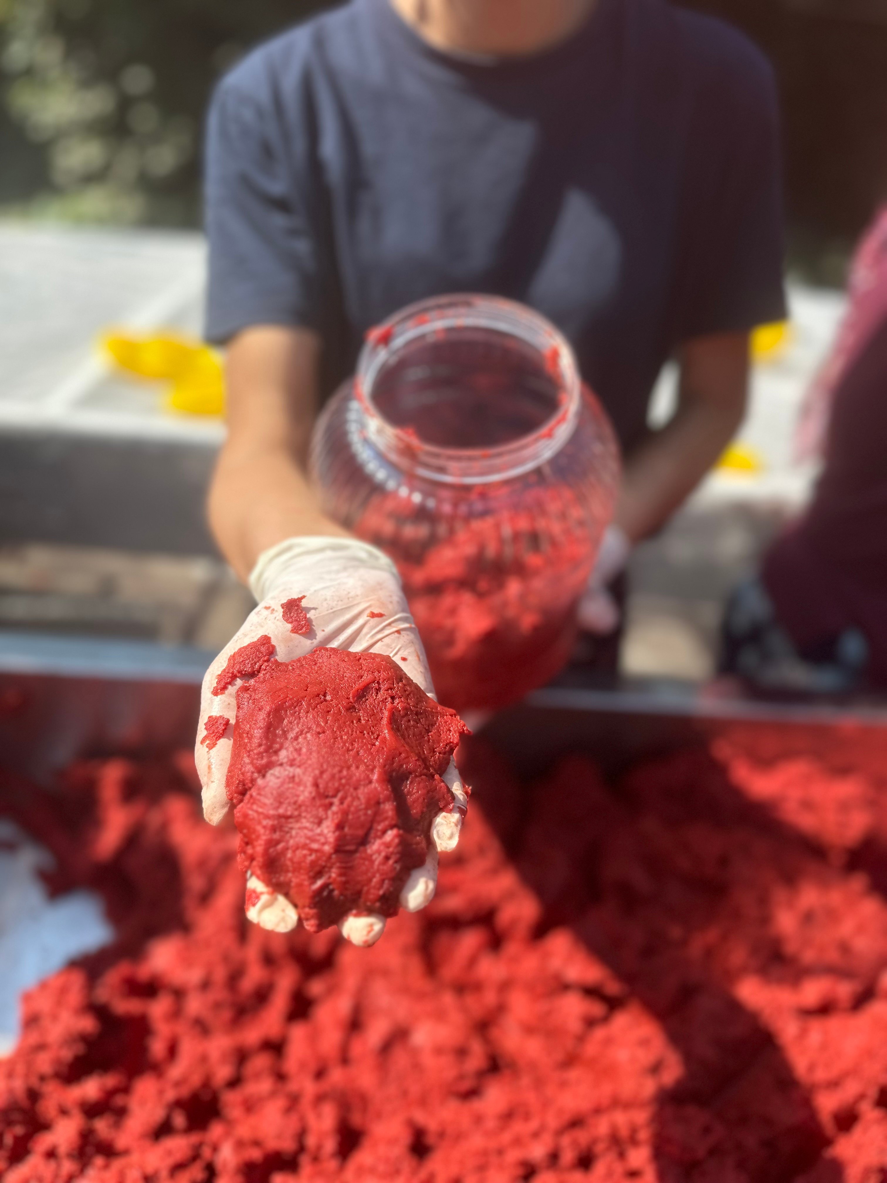 3 kg Karışık Salça (Domates-Biber) 