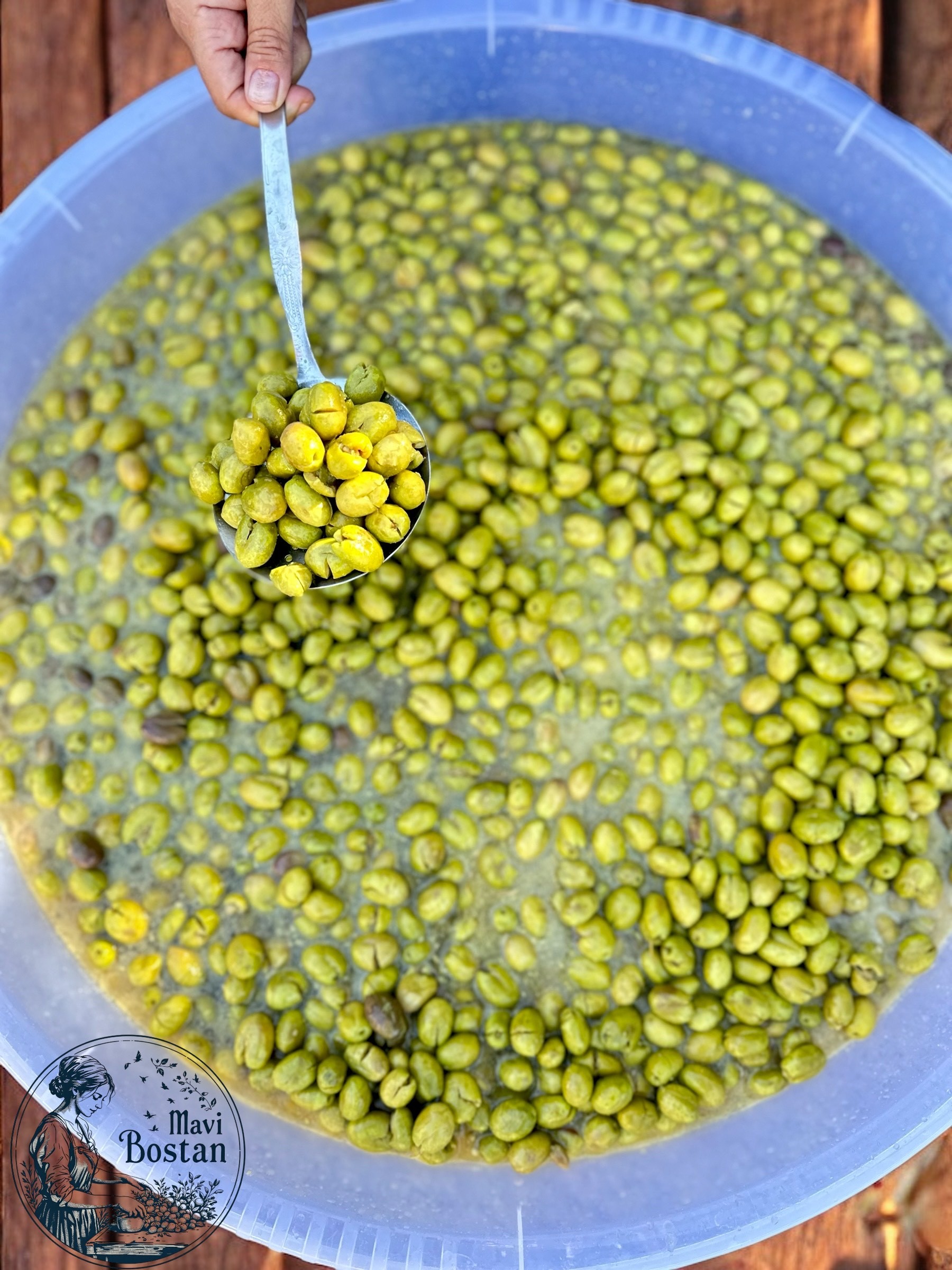 Taş Kırma Yeşil Zeytin 5 Litre-YENİ MAHSUL