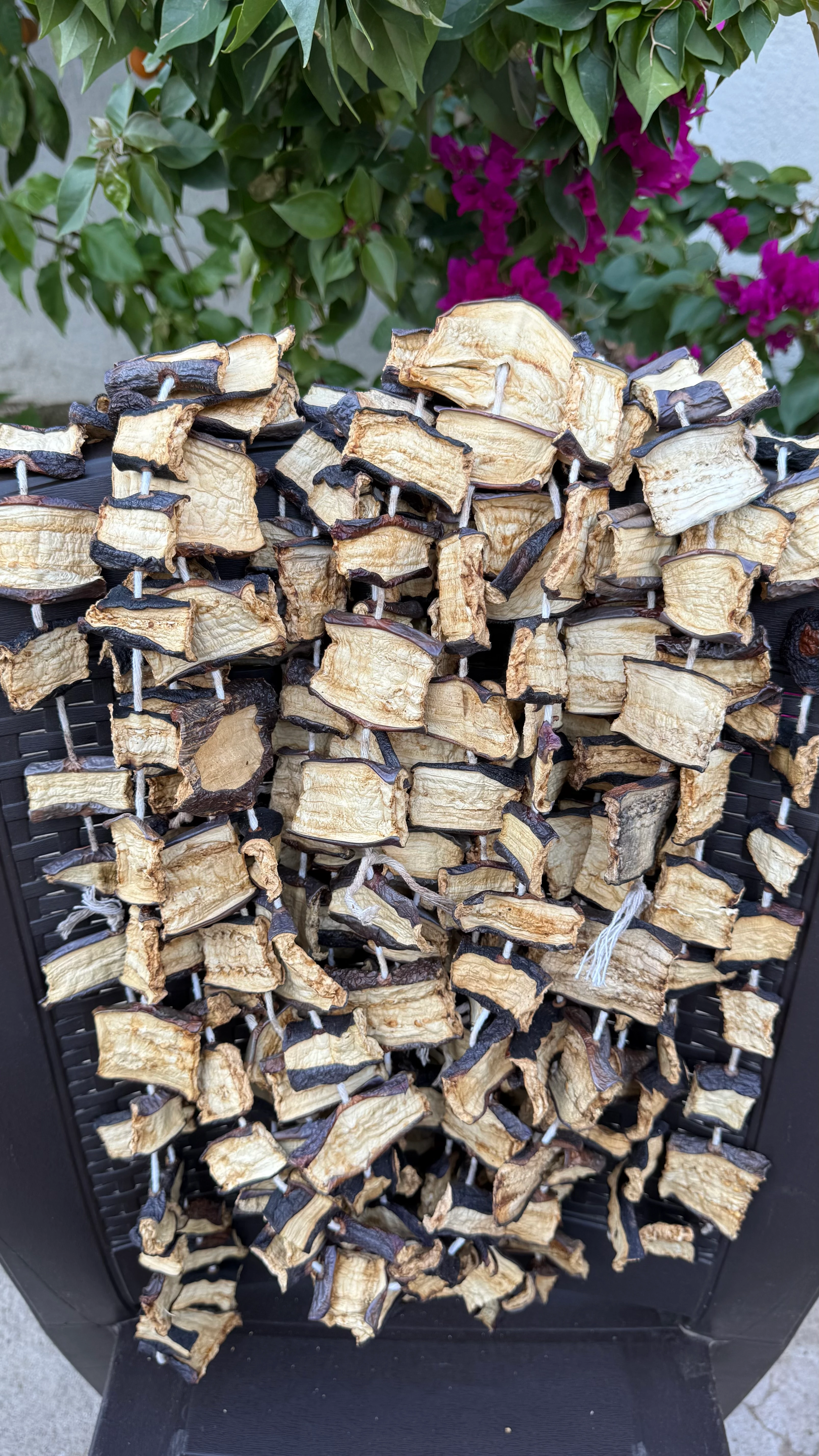 Dilme Kuru Patlıcan Dizi (Kızartmalı-Musakkalık)