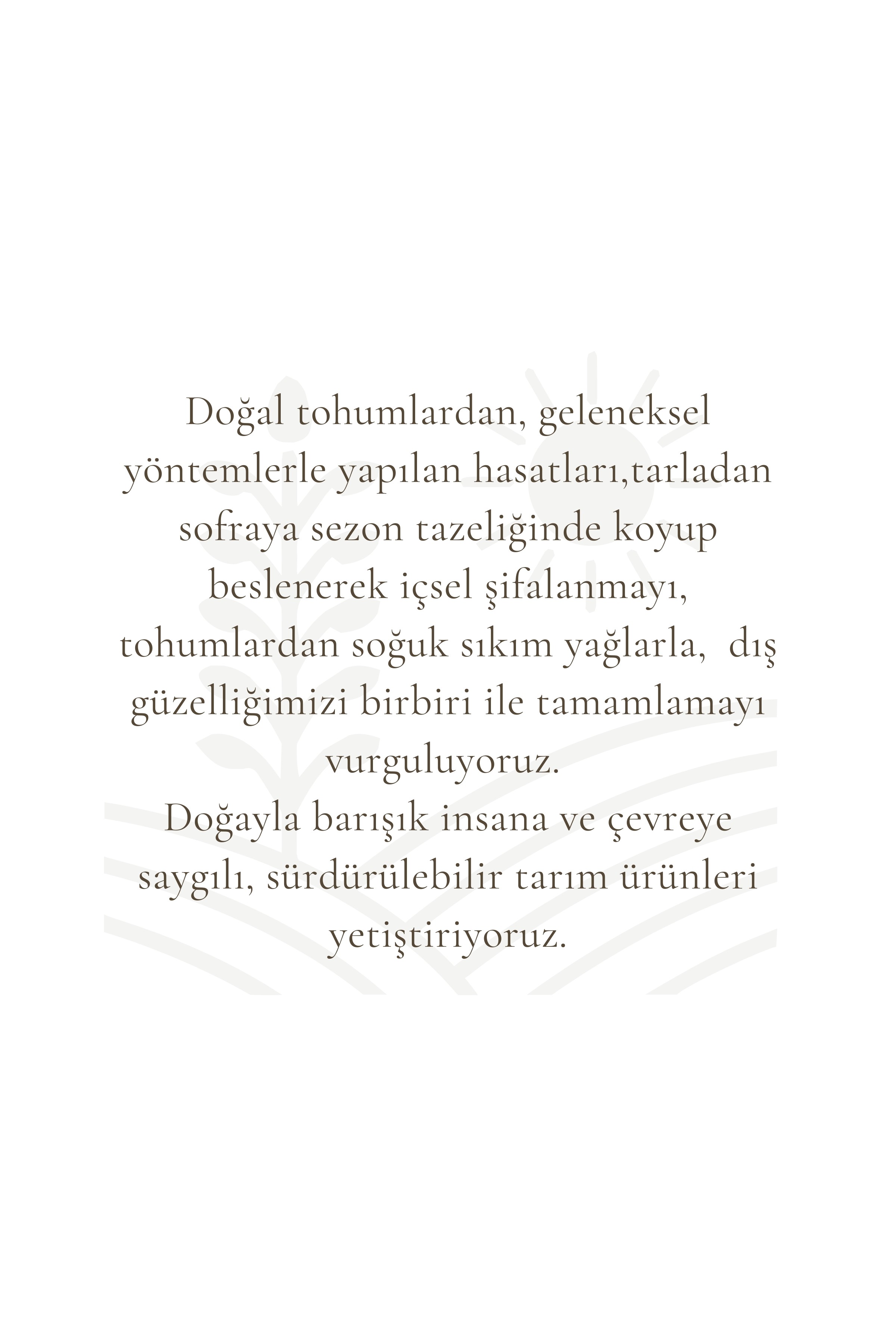 Üzüm Çekirdegi Yağı Soğuk Sıkım % 100 Saf