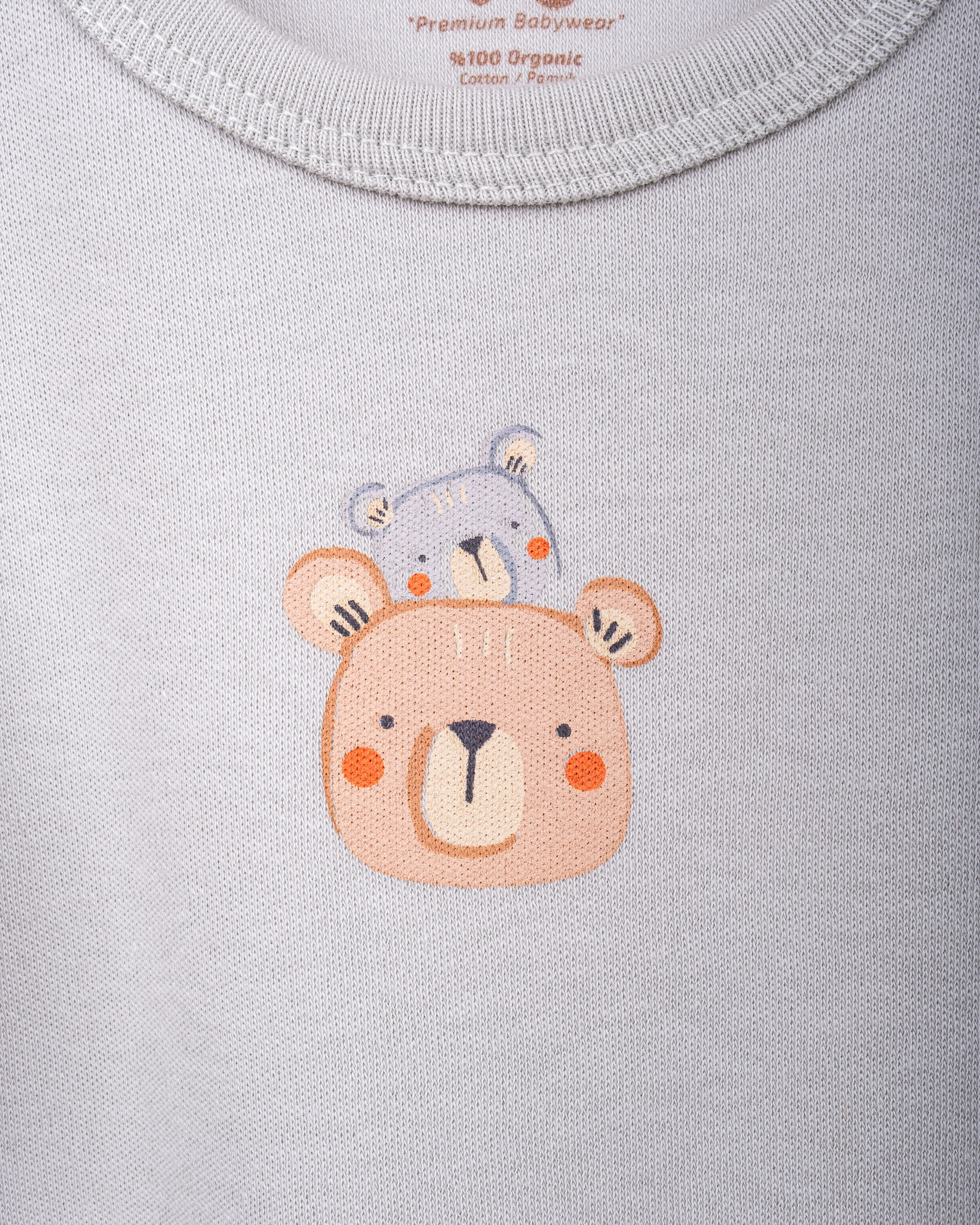 2’li Kısa Kollu Teddy Desenli Bebek Body/Zıbın Seti  - Ekru & Mint