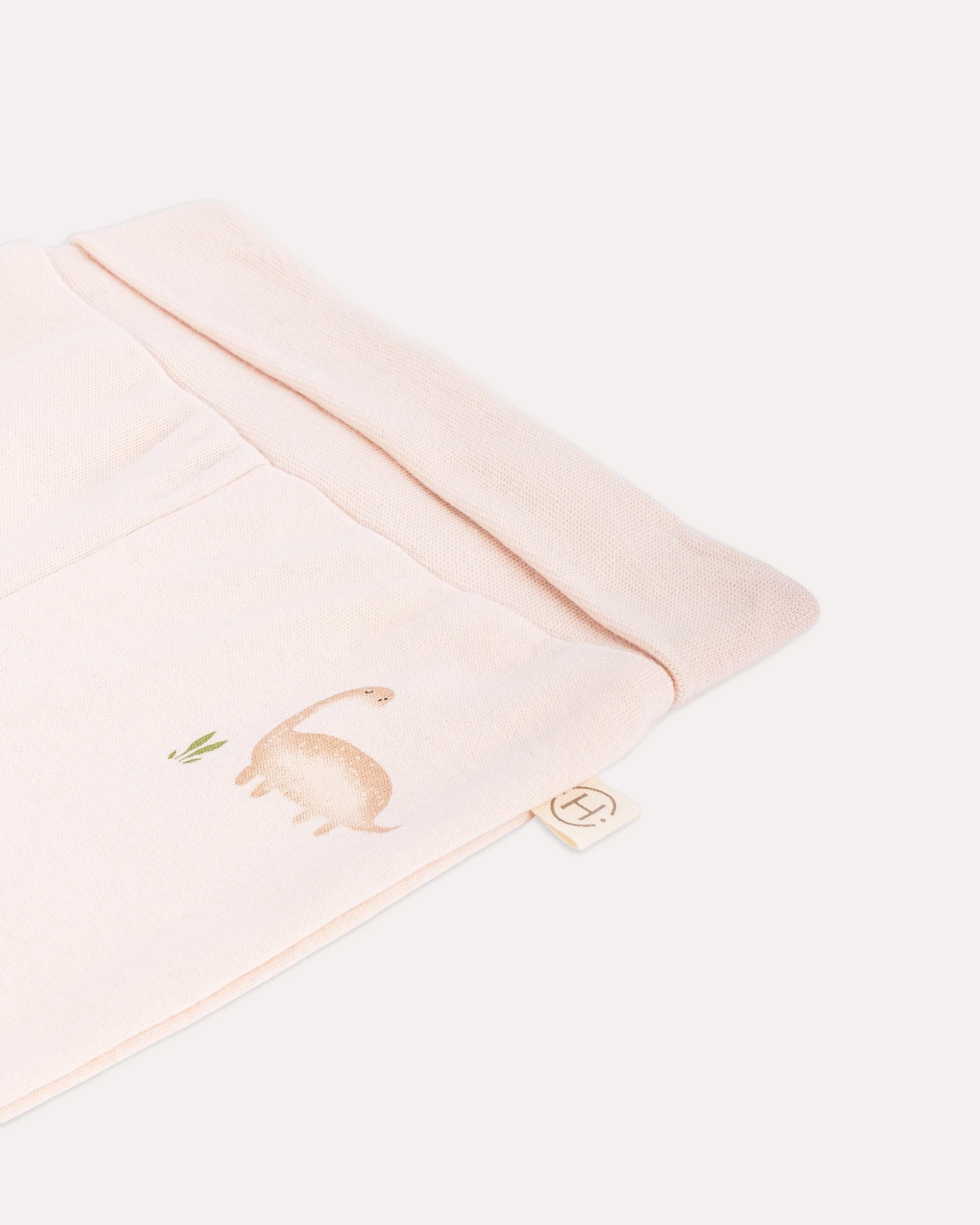 2li Alt -Üst Dinozor Desenli Takım - Pudra