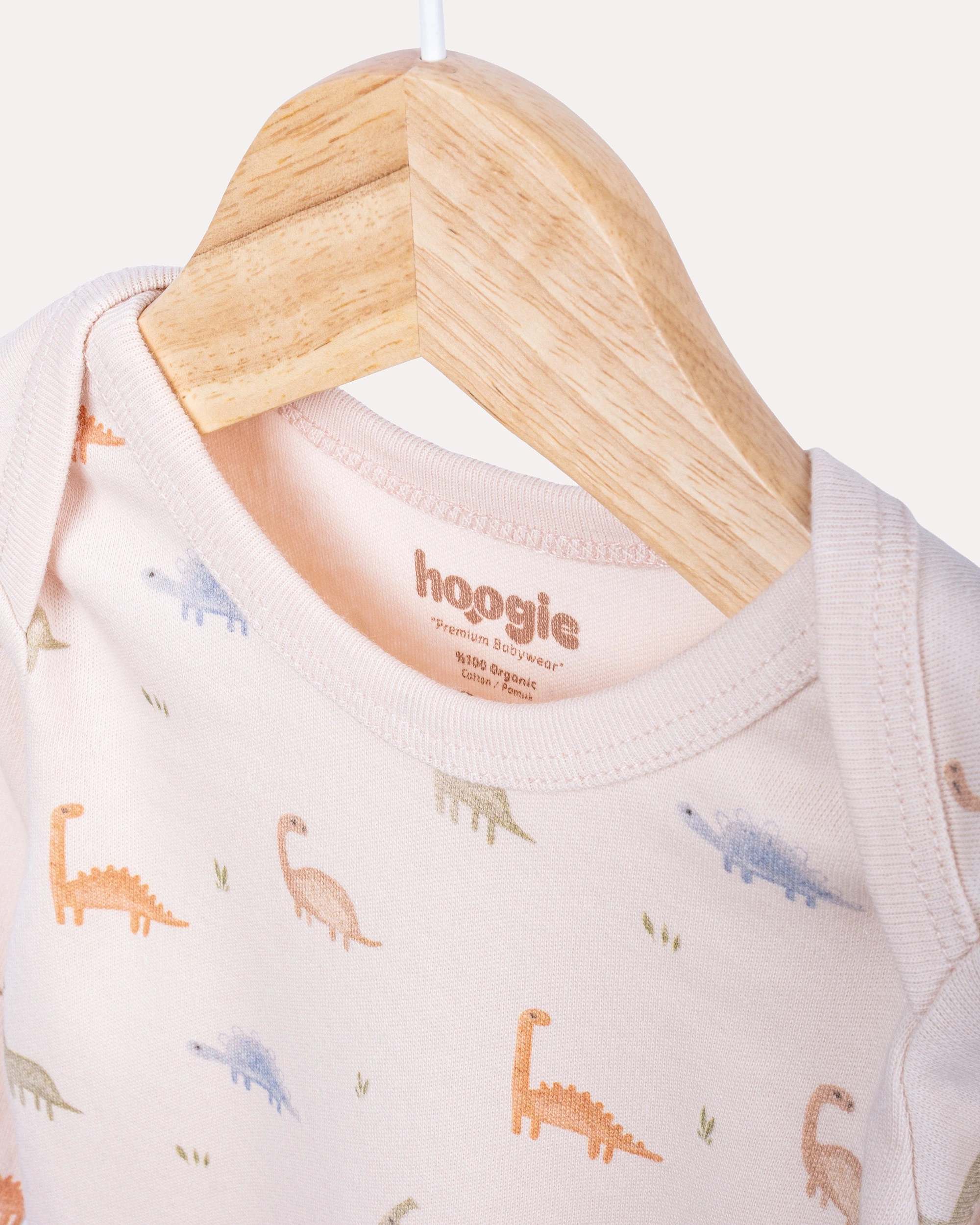 2li Alt -Üst Dinozor Desenli Takım - Pudra